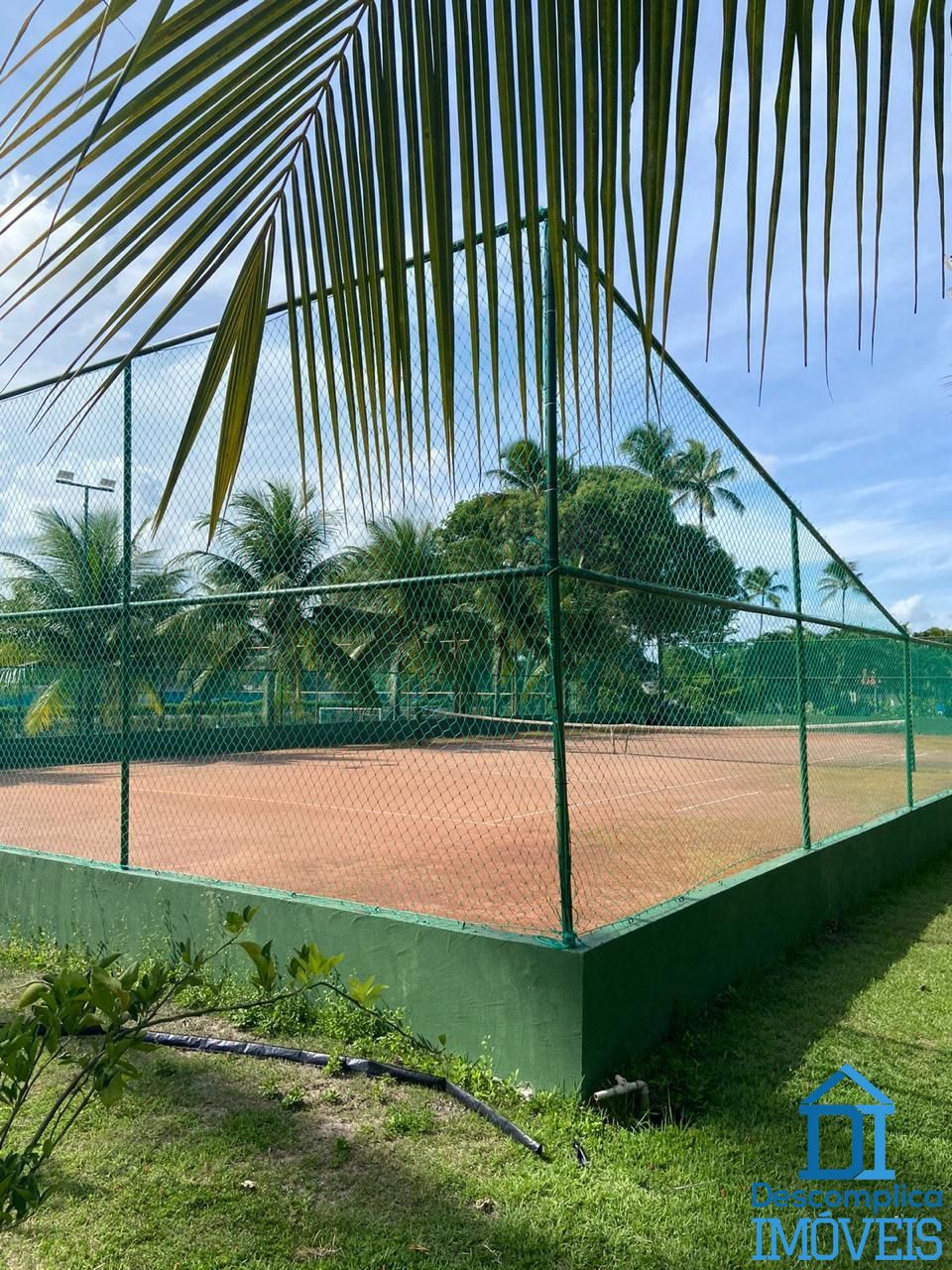 Terreno, 600 m² - Foto 6