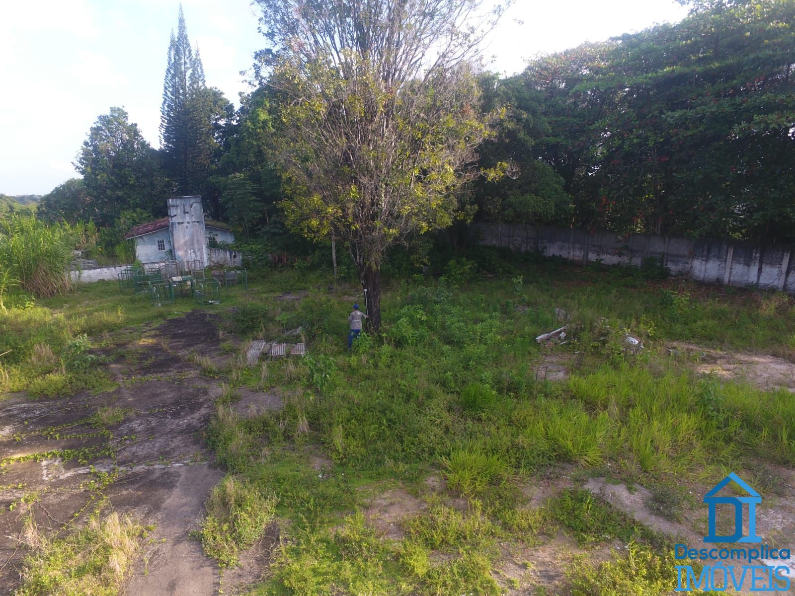 Terreno, 2 hectares - Foto 5