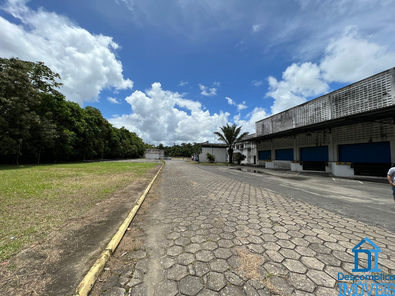 Depósito-Galpão - Foto 10