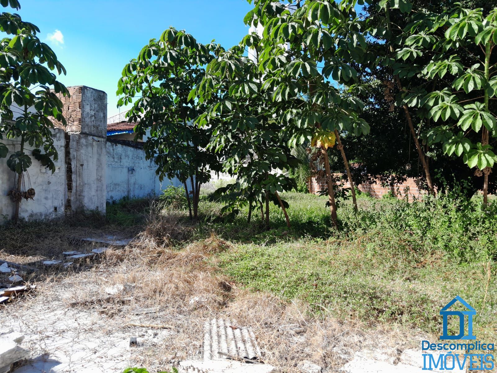 Terreno, 808 m² - Foto 4