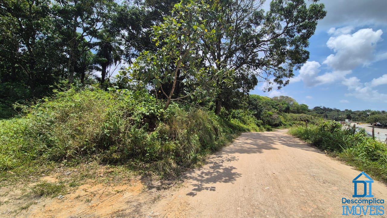 Terreno, 2 hectares - Foto 9