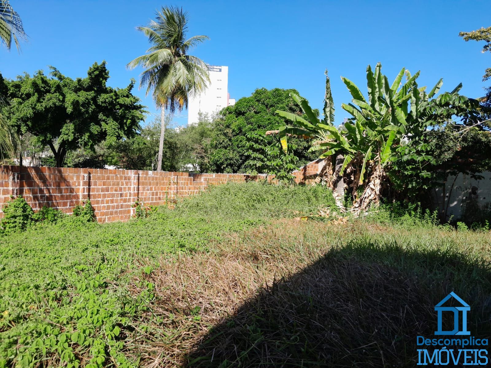 Terreno, 808 m² - Foto 8