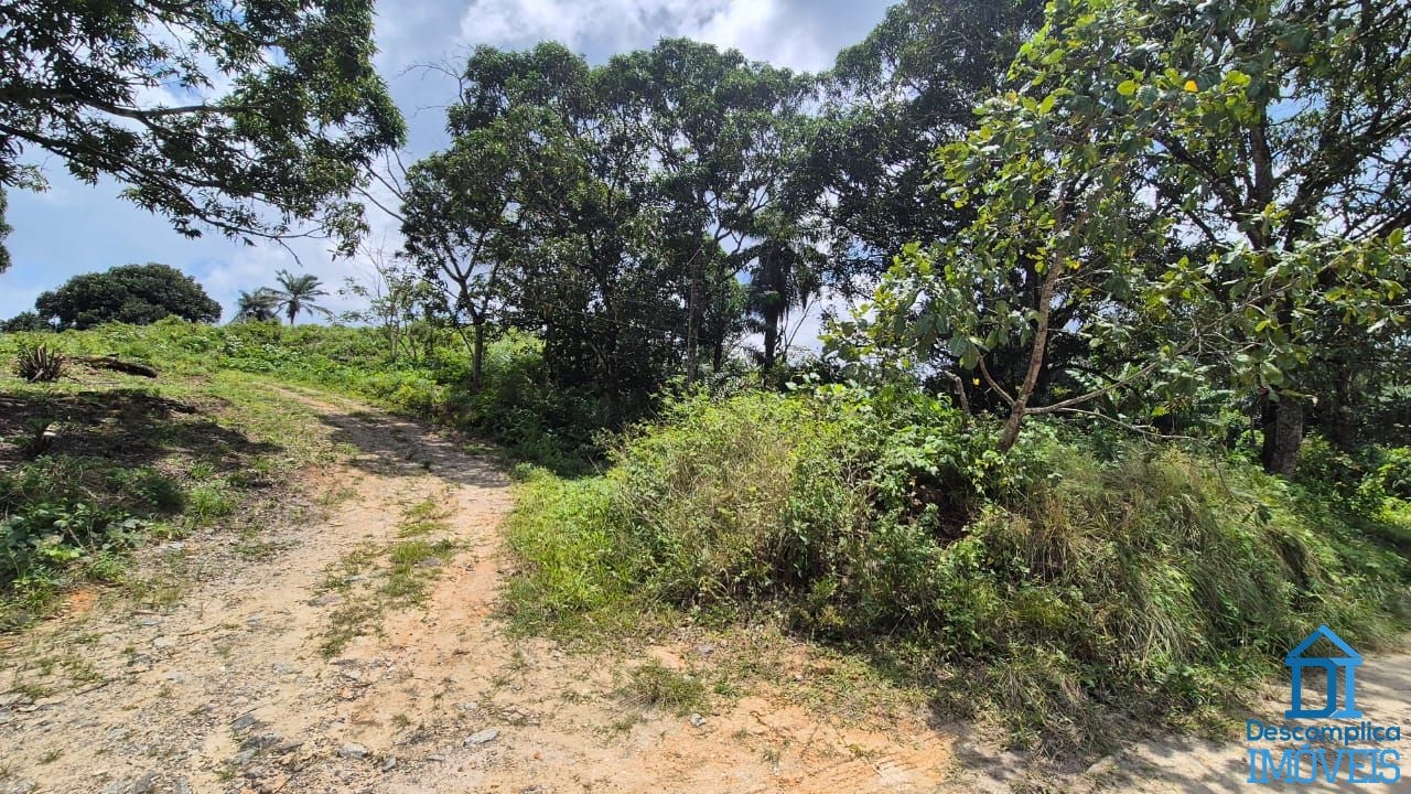 Terreno, 2 hectares - Foto 8