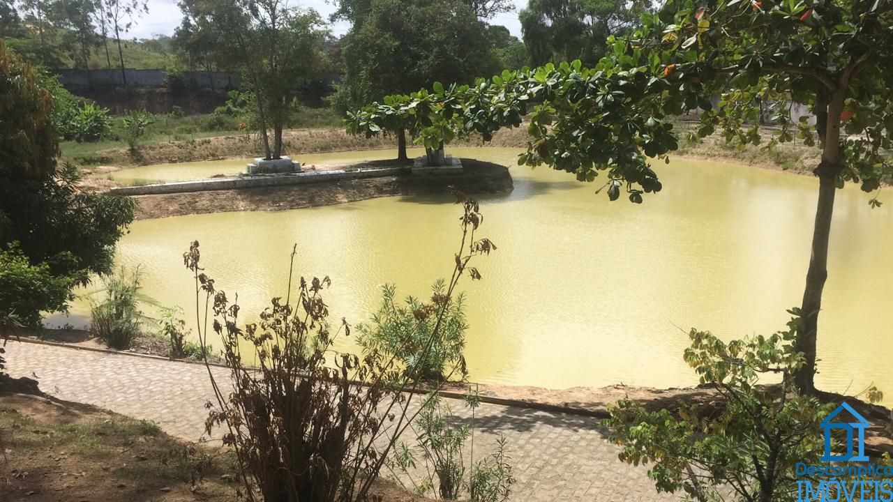 Fazenda para lancamento com 80 quartos, 400000000m² - Foto 12