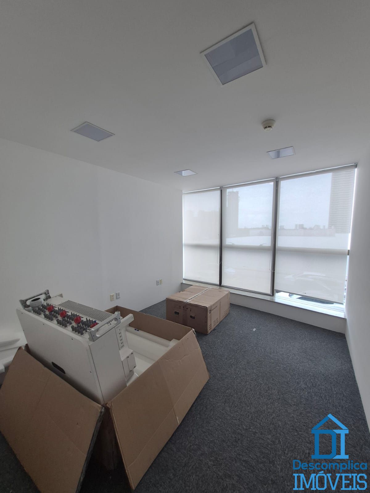 Sala-Conjunto, 237 m² - Foto 3