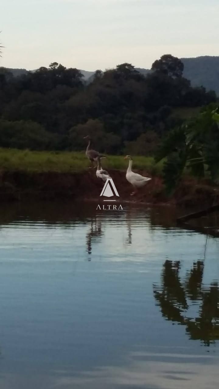 Fazenda à venda e aluguel com 3 quartos, 190000m² - Foto 12