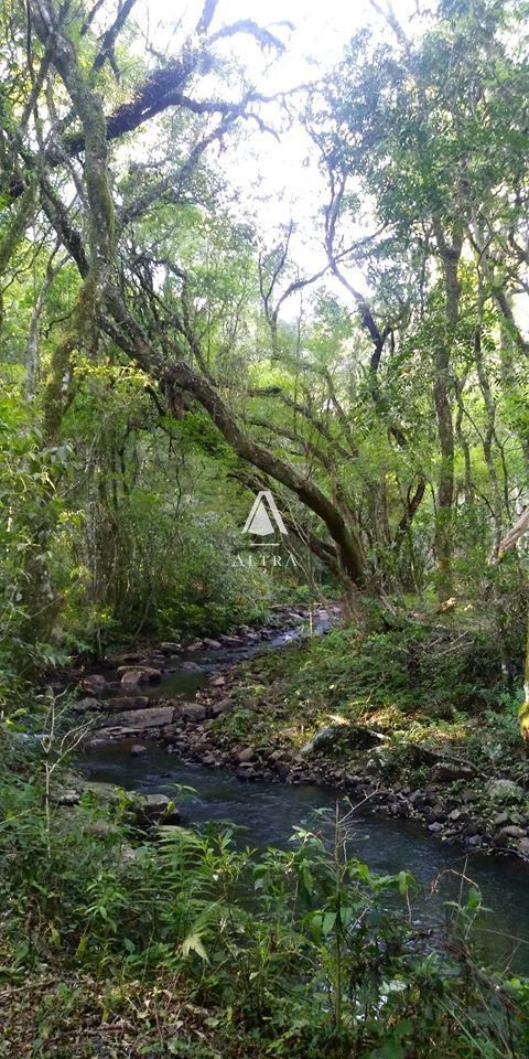 Terreno/Lote  venda  no Centro - Itaara, RS. Imveis