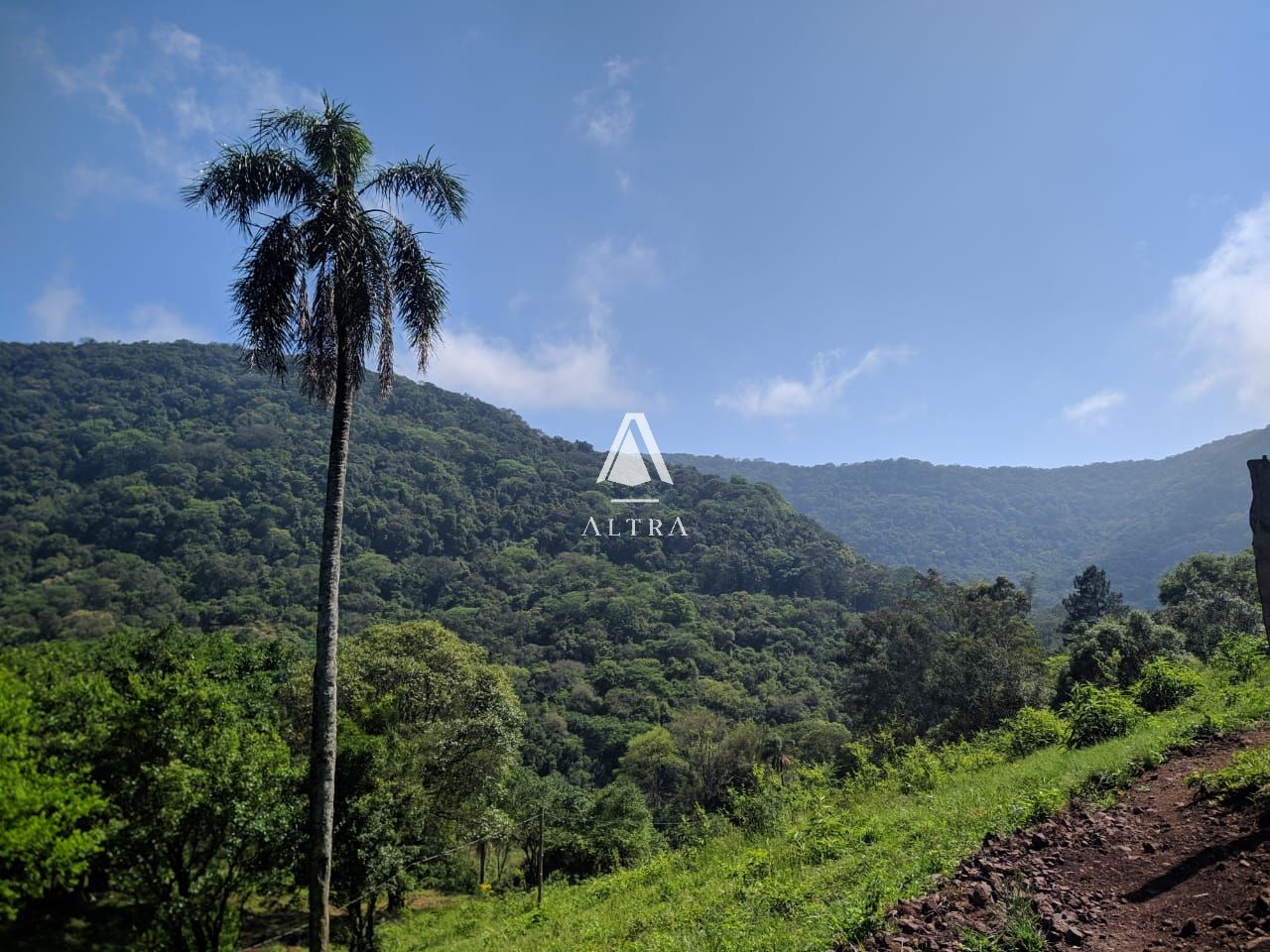 Fazenda/stio/chcara/haras  venda  no P de Pltano - Santa Maria, RS. Imveis