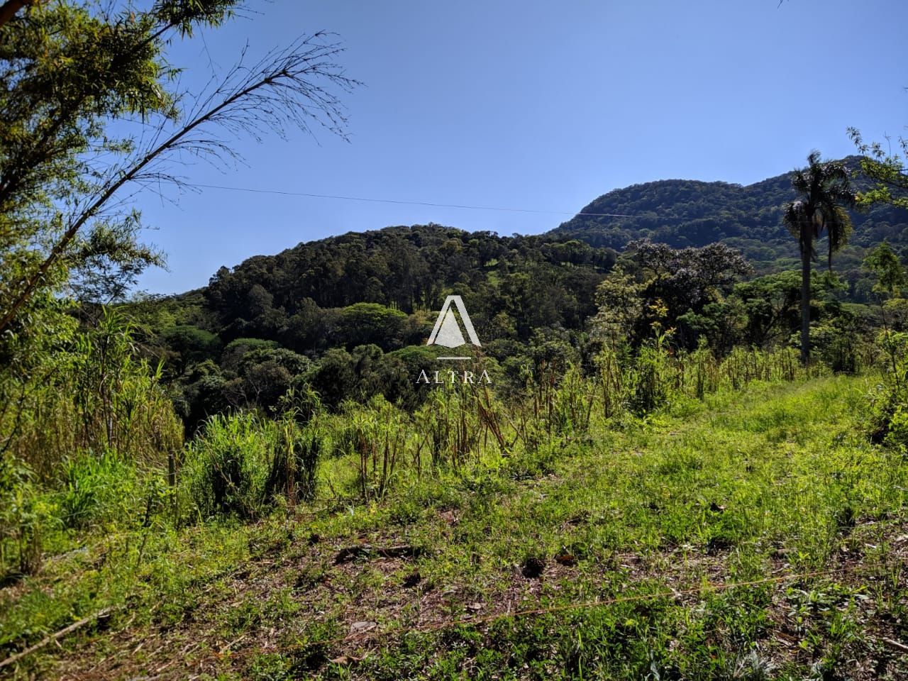 Terreno comercial  venda  no P de Pltano - Santa Maria, RS. Imveis