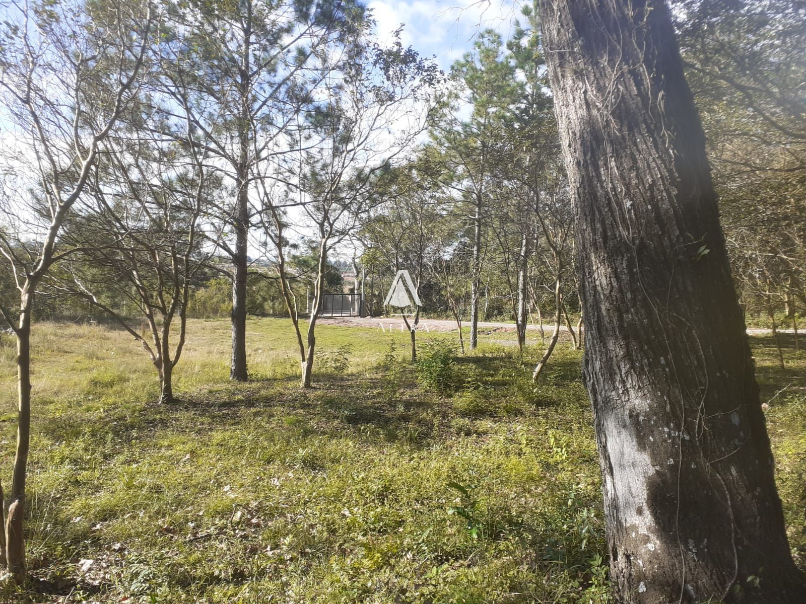 Terreno à venda, 1880m² - Foto 1