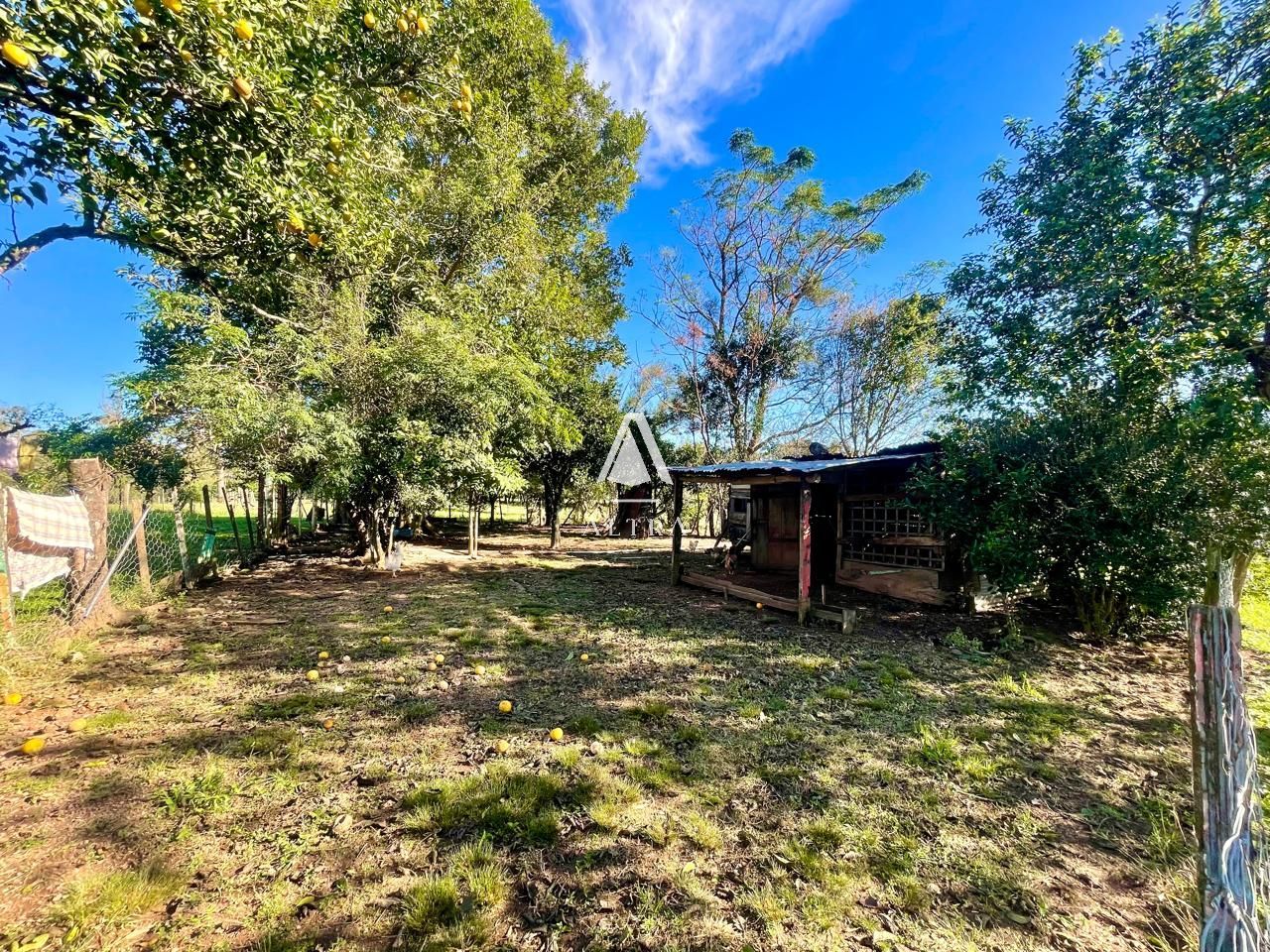 Fazenda à venda com 2 quartos, 450000000m² - Foto 5