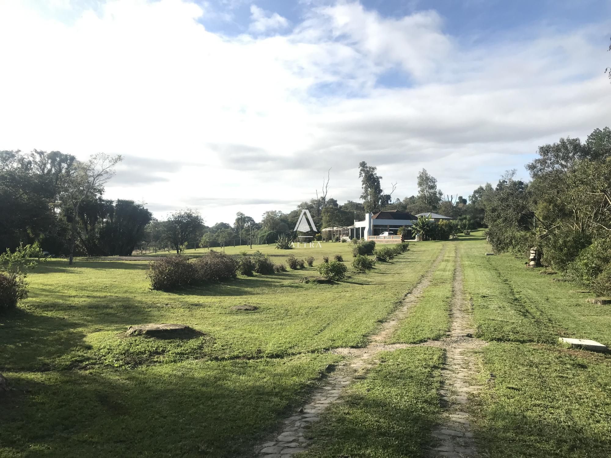 Fazenda à venda com 3 quartos, 40000m² - Foto 12