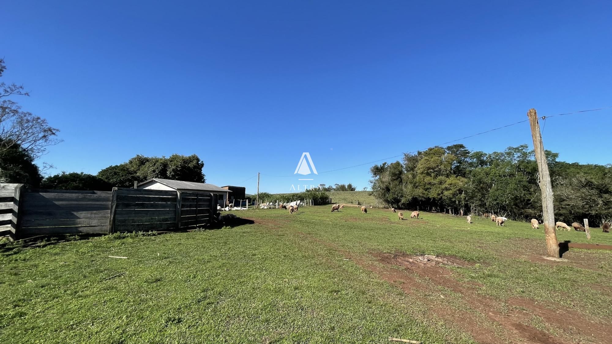 Fazenda à venda com 3 quartos, 229000m² - Foto 23