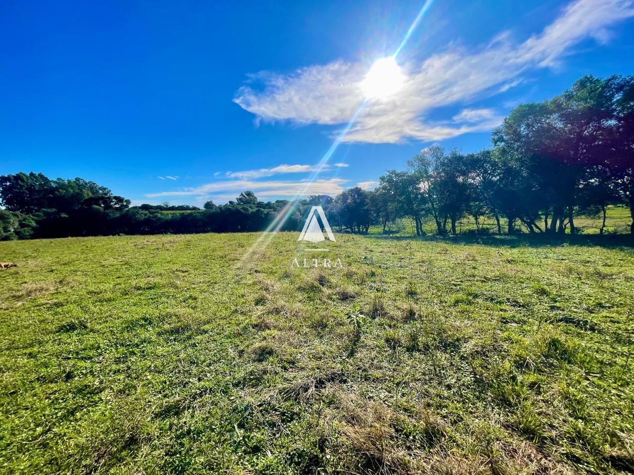 Fazenda à venda com 2 quartos, 450000000m² - Foto 7