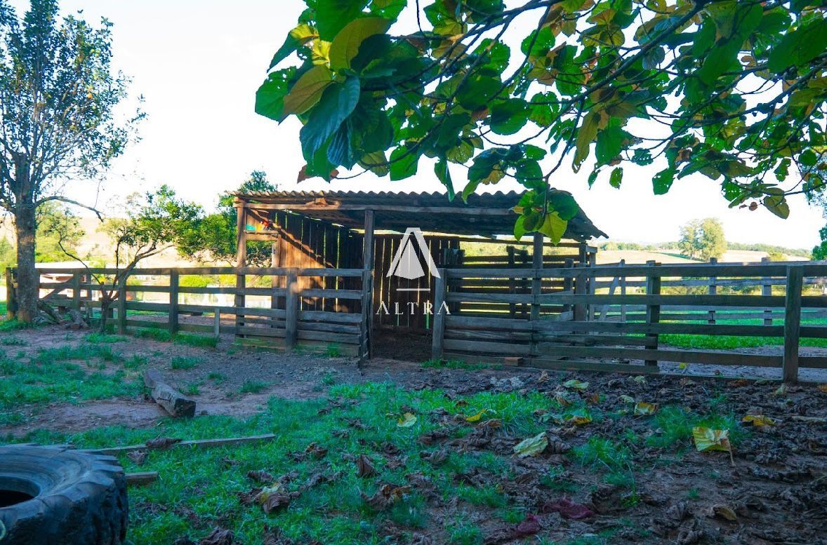 Fazenda à venda com 3 quartos, 50000m² - Foto 14