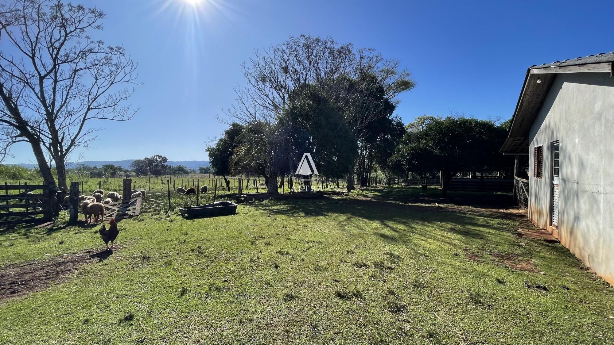 Fazenda à venda com 3 quartos, 229000m² - Foto 26