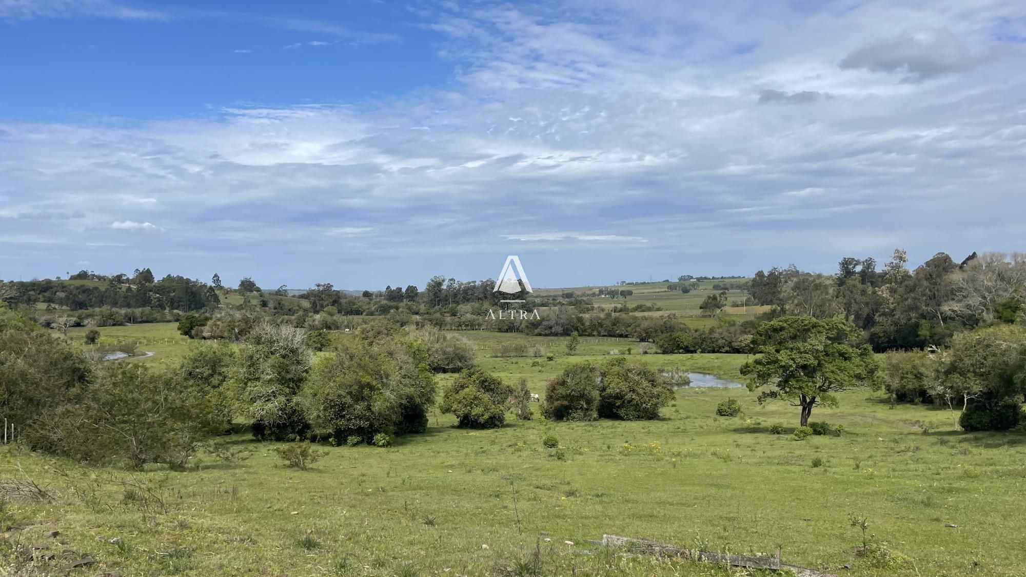 Fazenda à venda com 3 quartos, 62000m² - Foto 23