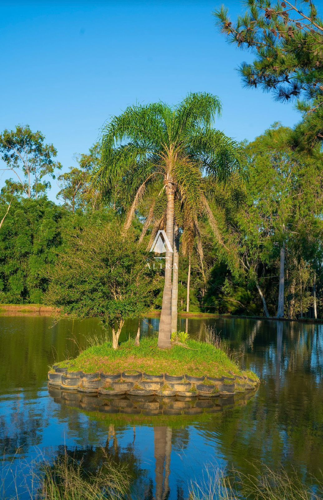 Fazenda à venda com 3 quartos, 50000m² - Foto 5