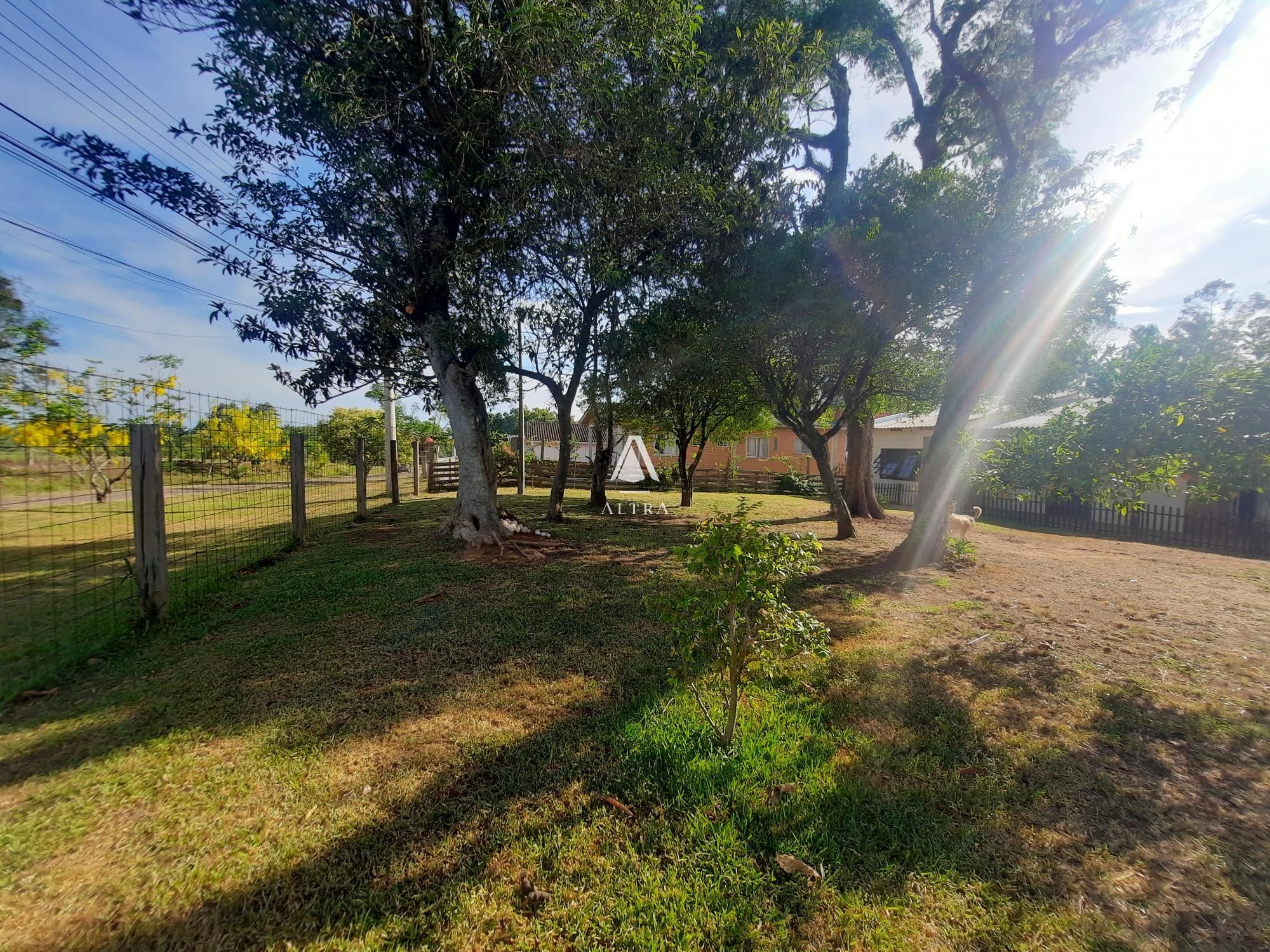 Fazenda à venda com 3 quartos, 5000m² - Foto 13