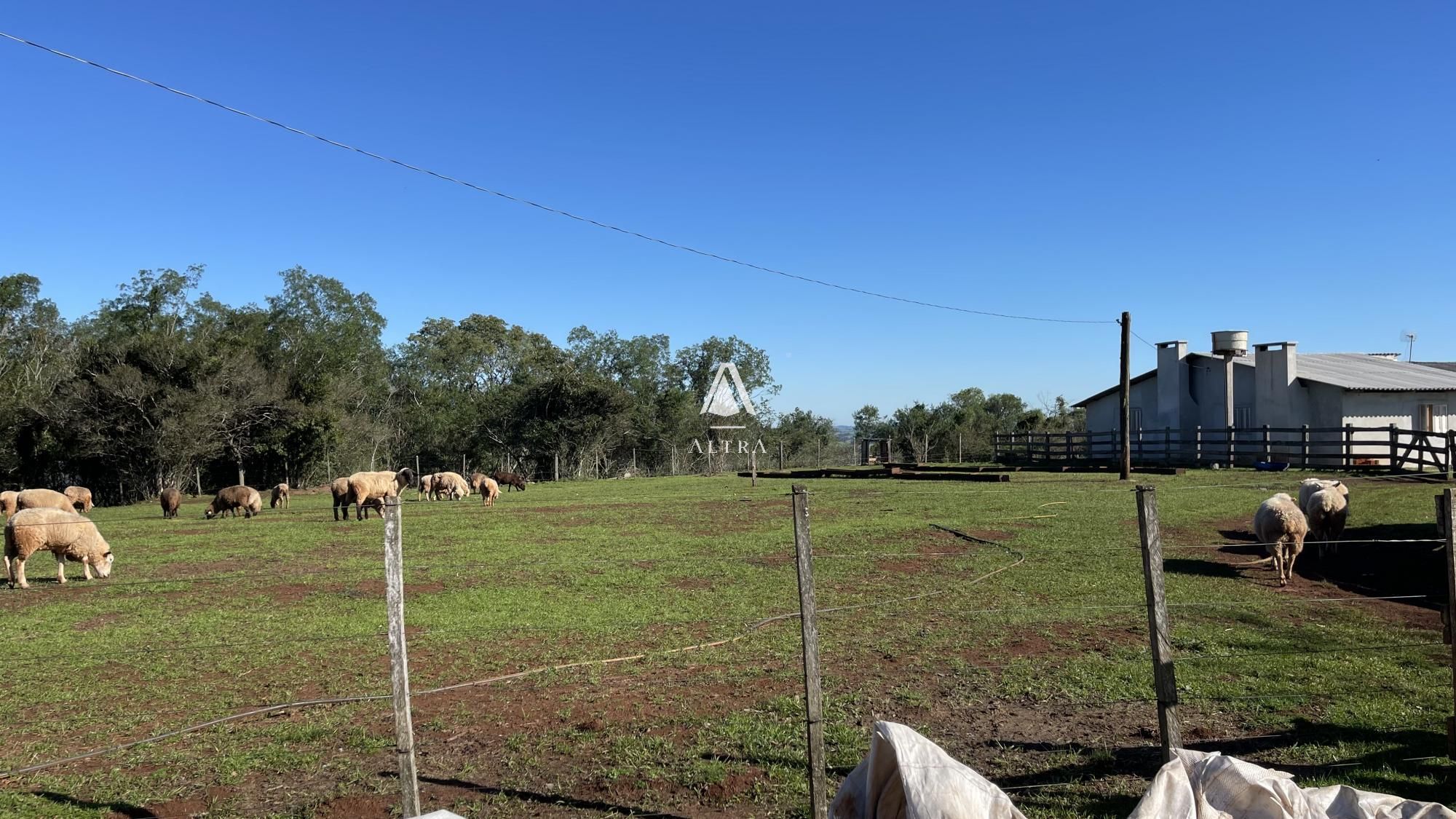 Fazenda à venda com 3 quartos, 229000m² - Foto 27