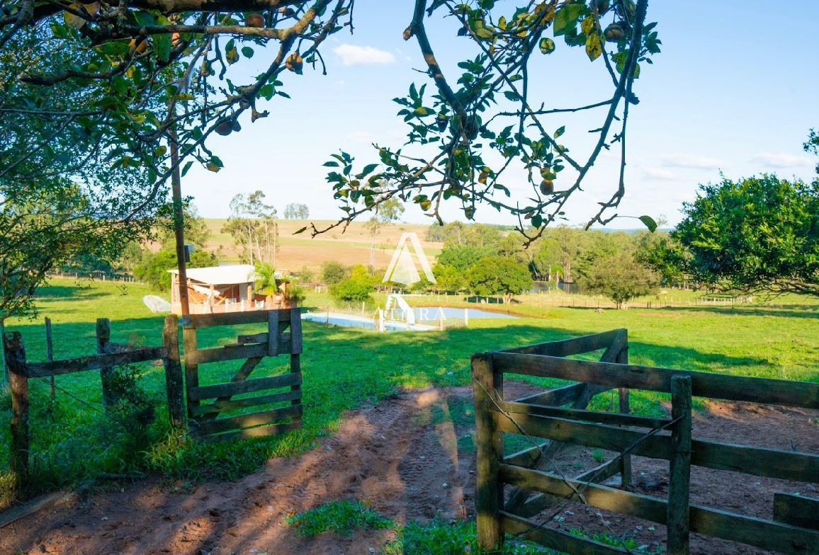 Fazenda à venda com 3 quartos, 50000m² - Foto 16