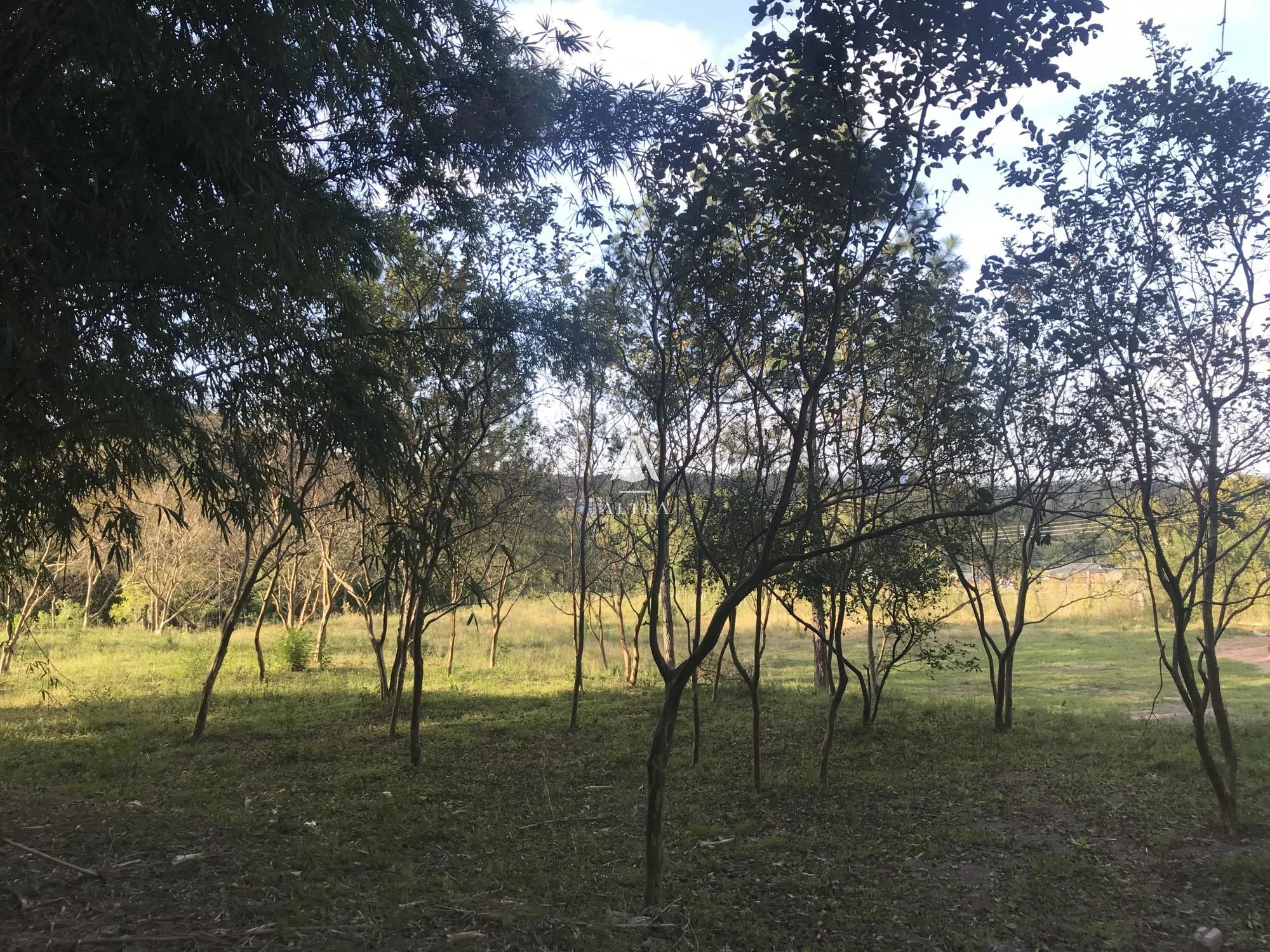 Terreno à venda, 1880m² - Foto 6