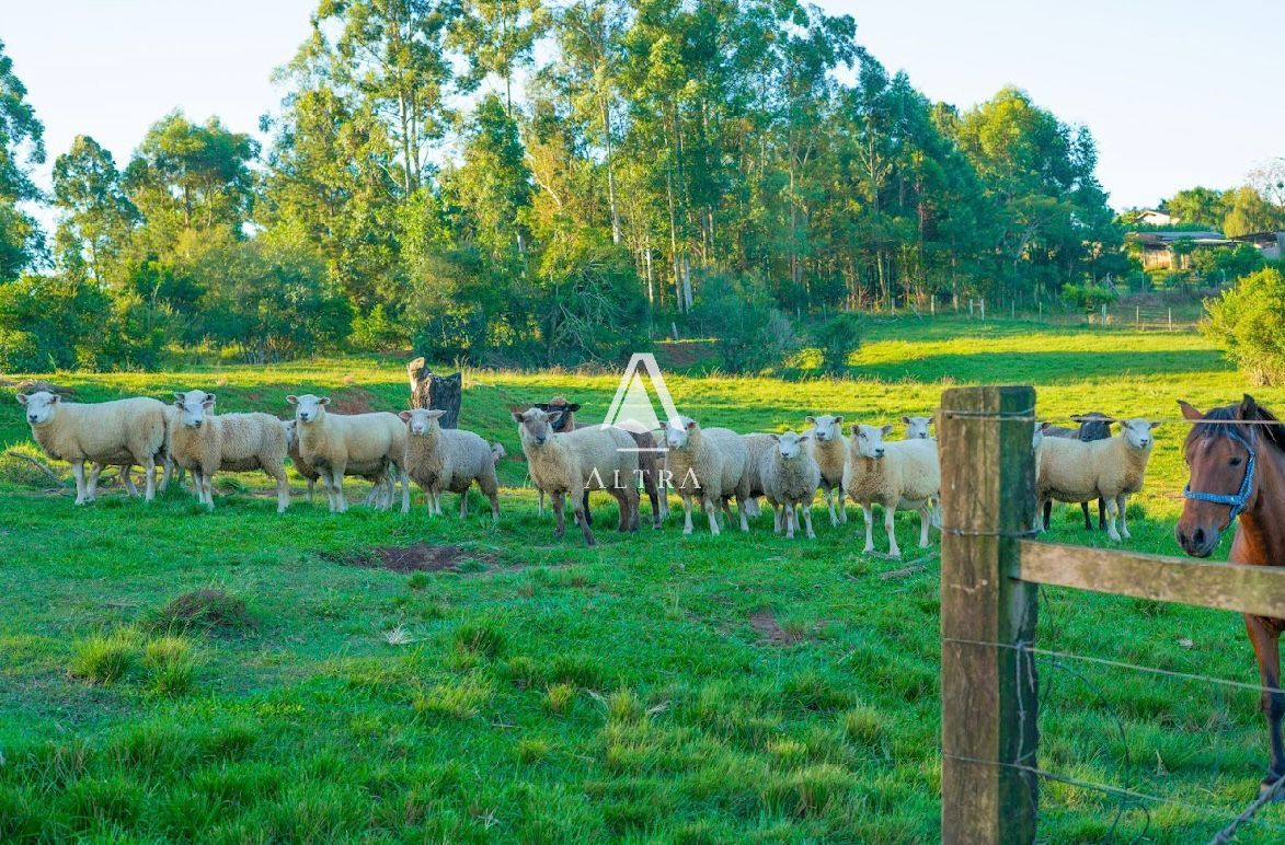 Fazenda à venda com 3 quartos, 50000m² - Foto 10