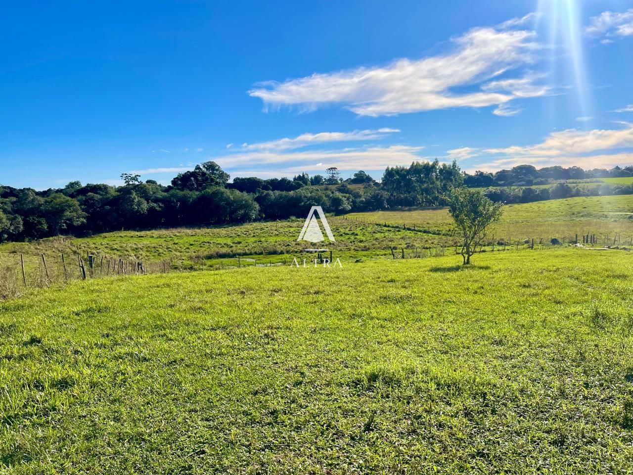 Fazenda à venda com 2 quartos, 450000000m² - Foto 11