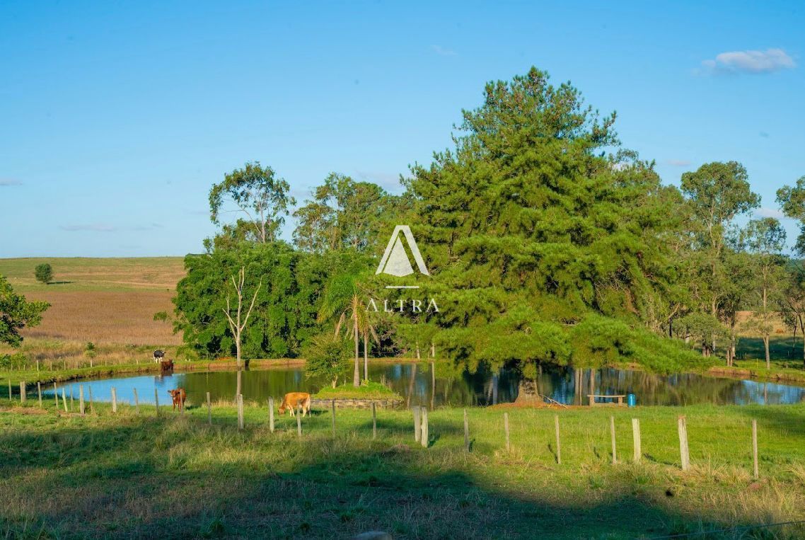 Fazenda à venda com 3 quartos, 50000m² - Foto 3