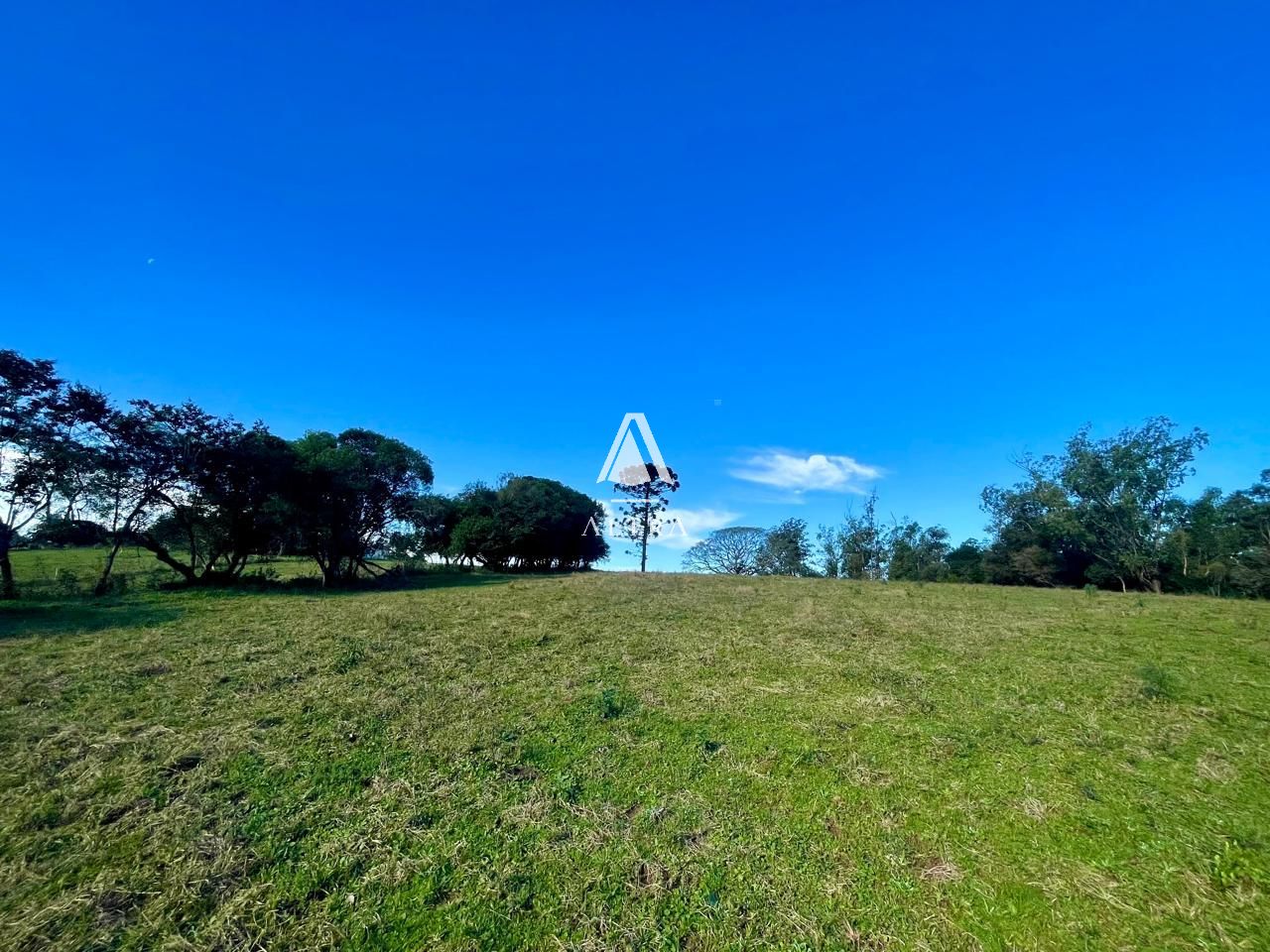 Fazenda à venda com 2 quartos, 450000000m² - Foto 12