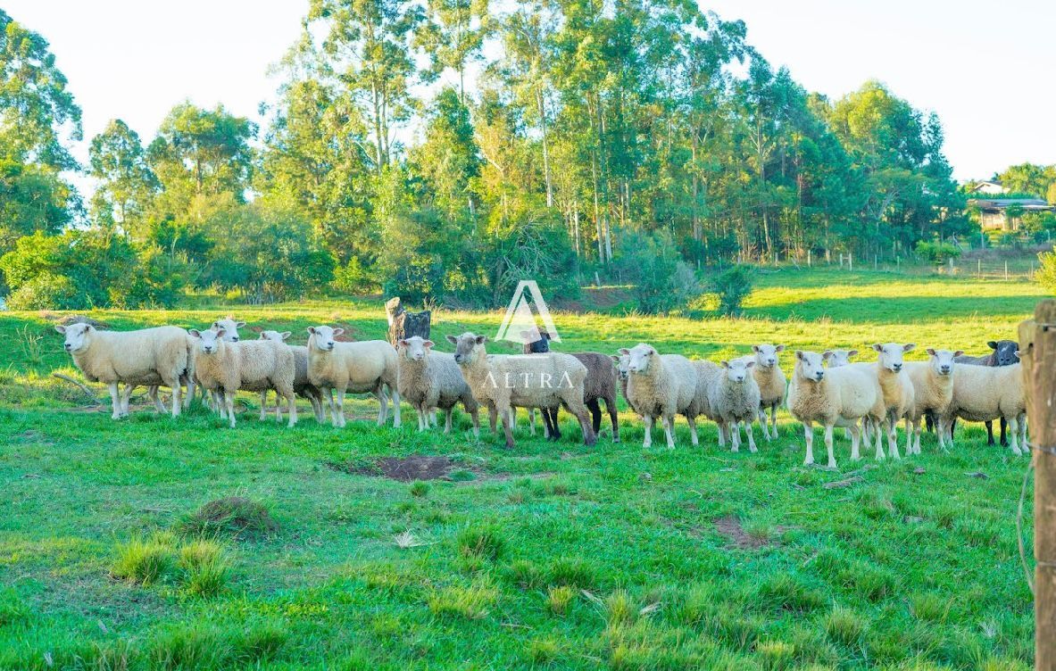 Fazenda à venda com 3 quartos, 50000m² - Foto 9