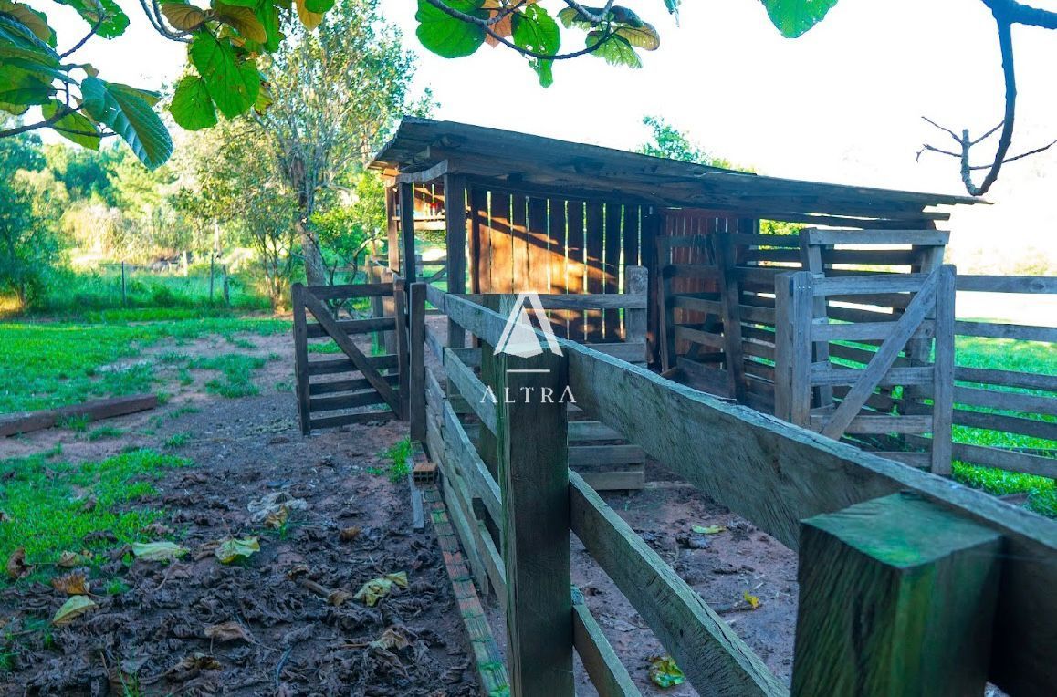 Fazenda à venda com 3 quartos, 50000m² - Foto 15