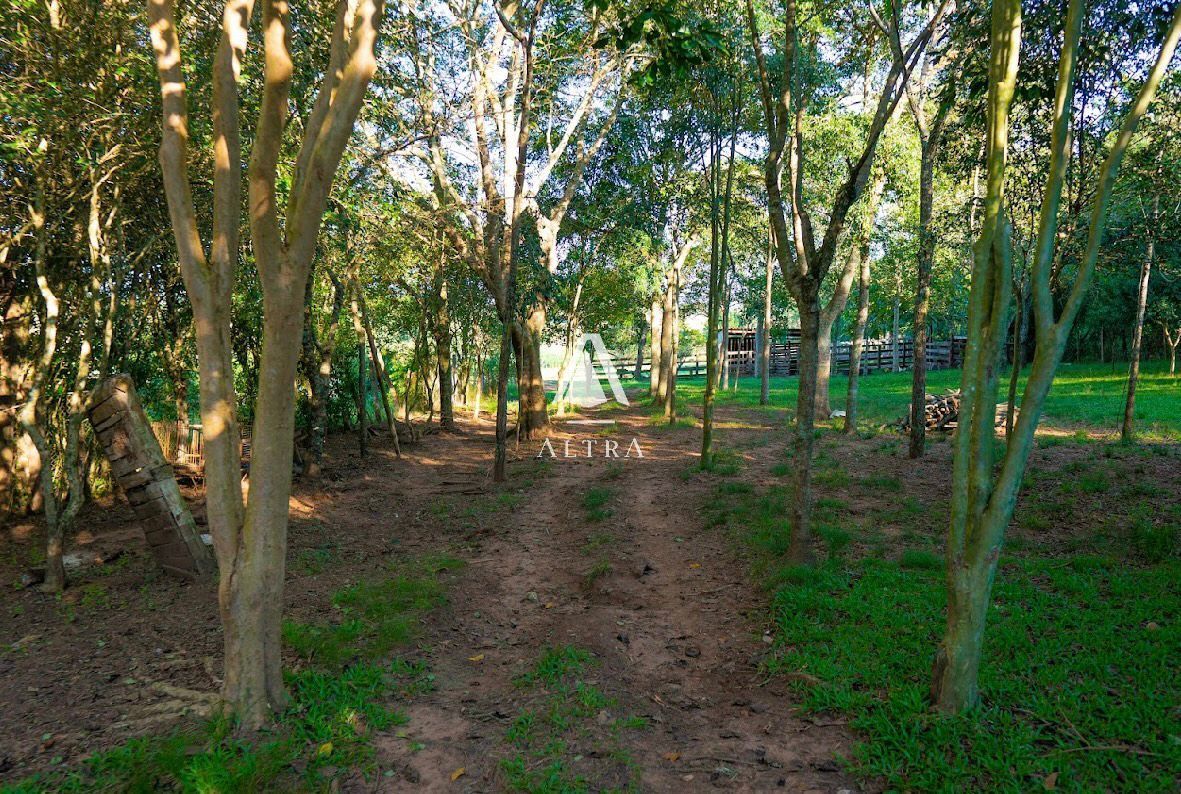 Fazenda à venda com 3 quartos, 50000m² - Foto 20