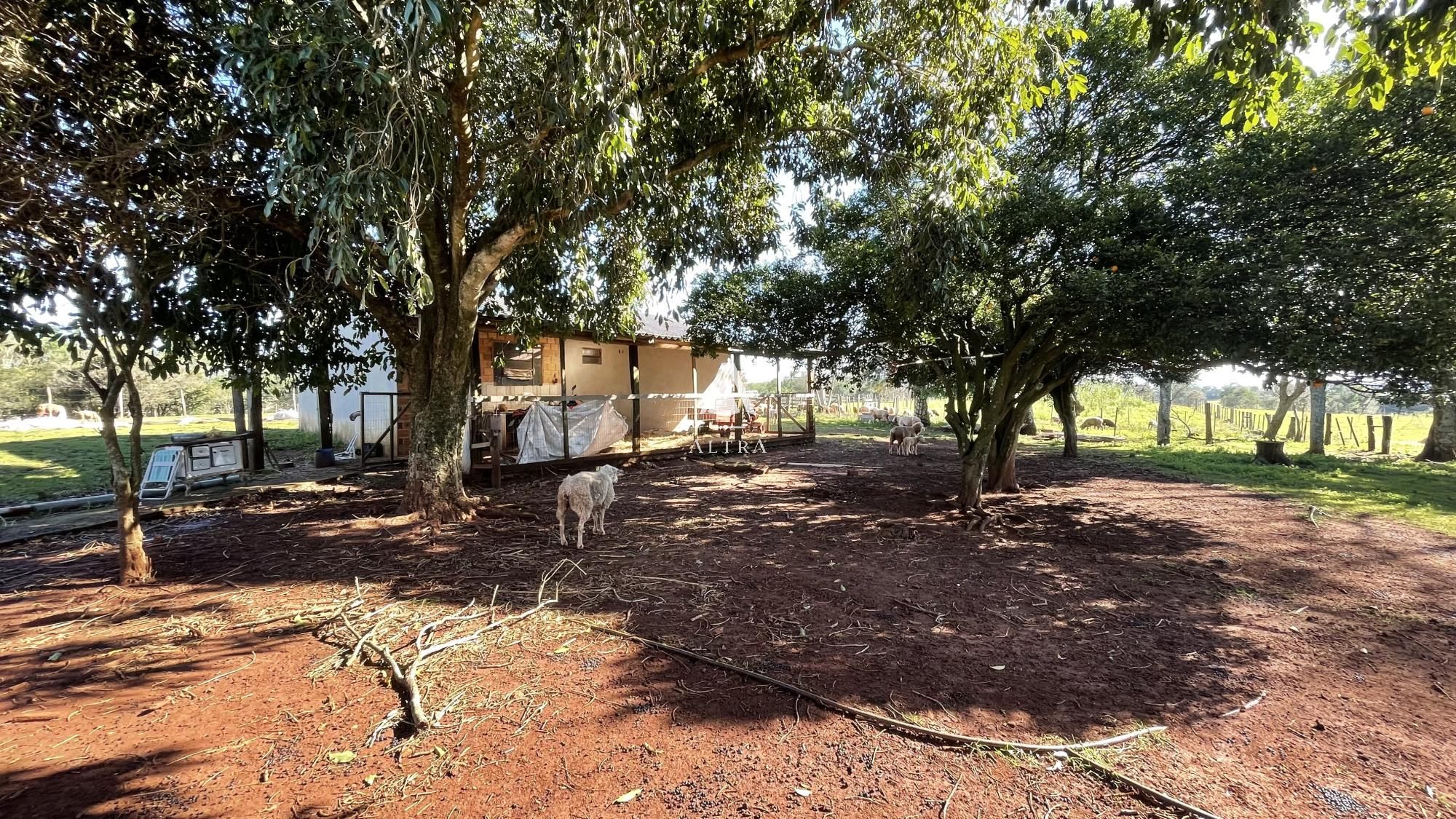 Fazenda à venda com 3 quartos, 229000m² - Foto 32