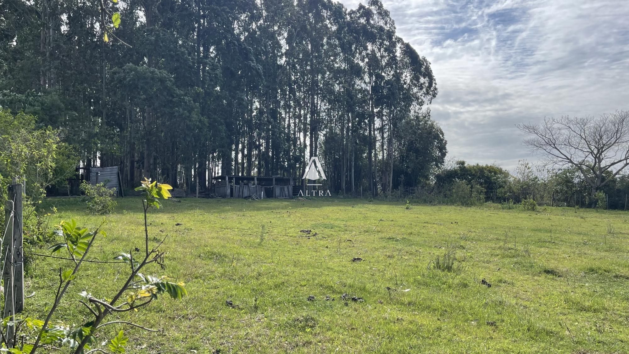 Fazenda à venda com 3 quartos, 62000m² - Foto 19