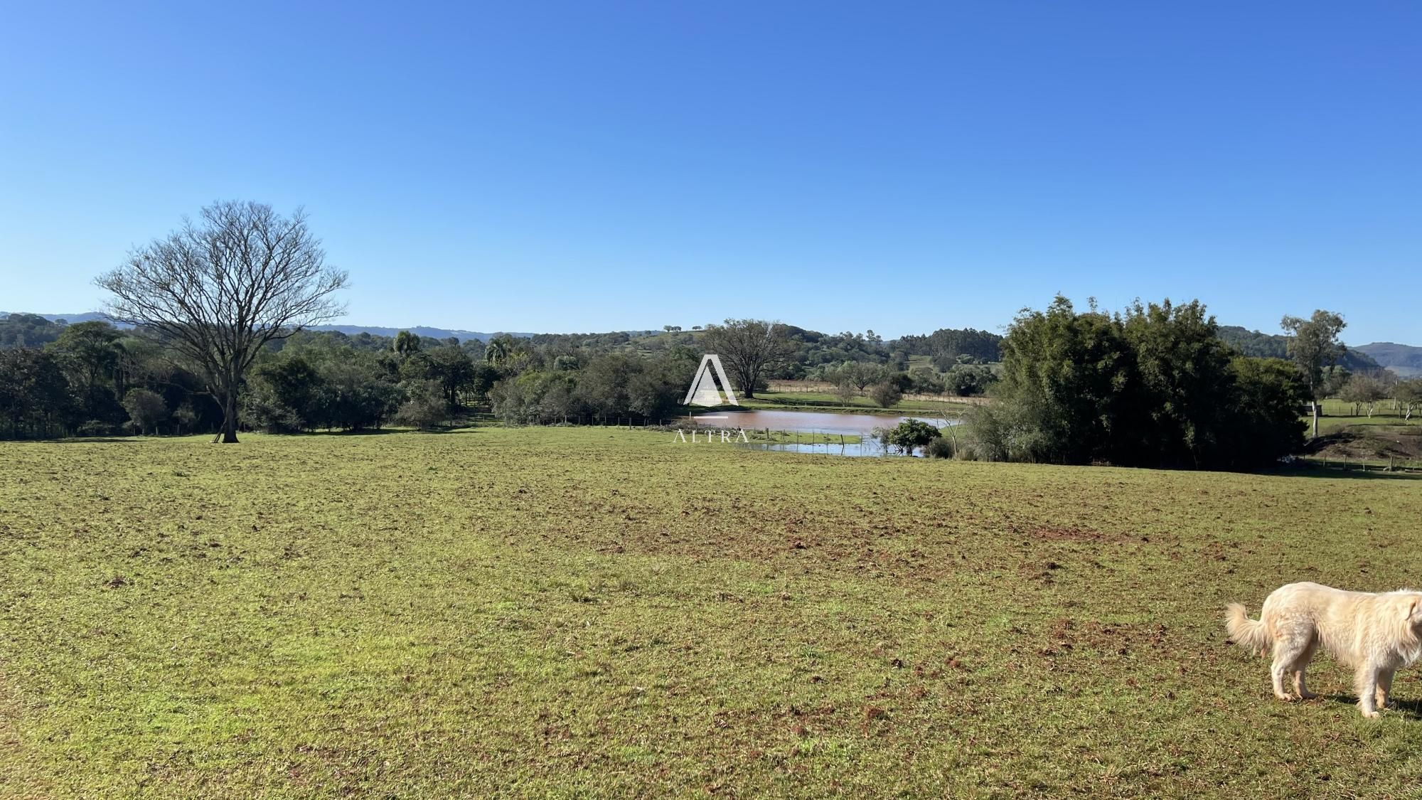 Fazenda à venda com 3 quartos, 229000m² - Foto 11