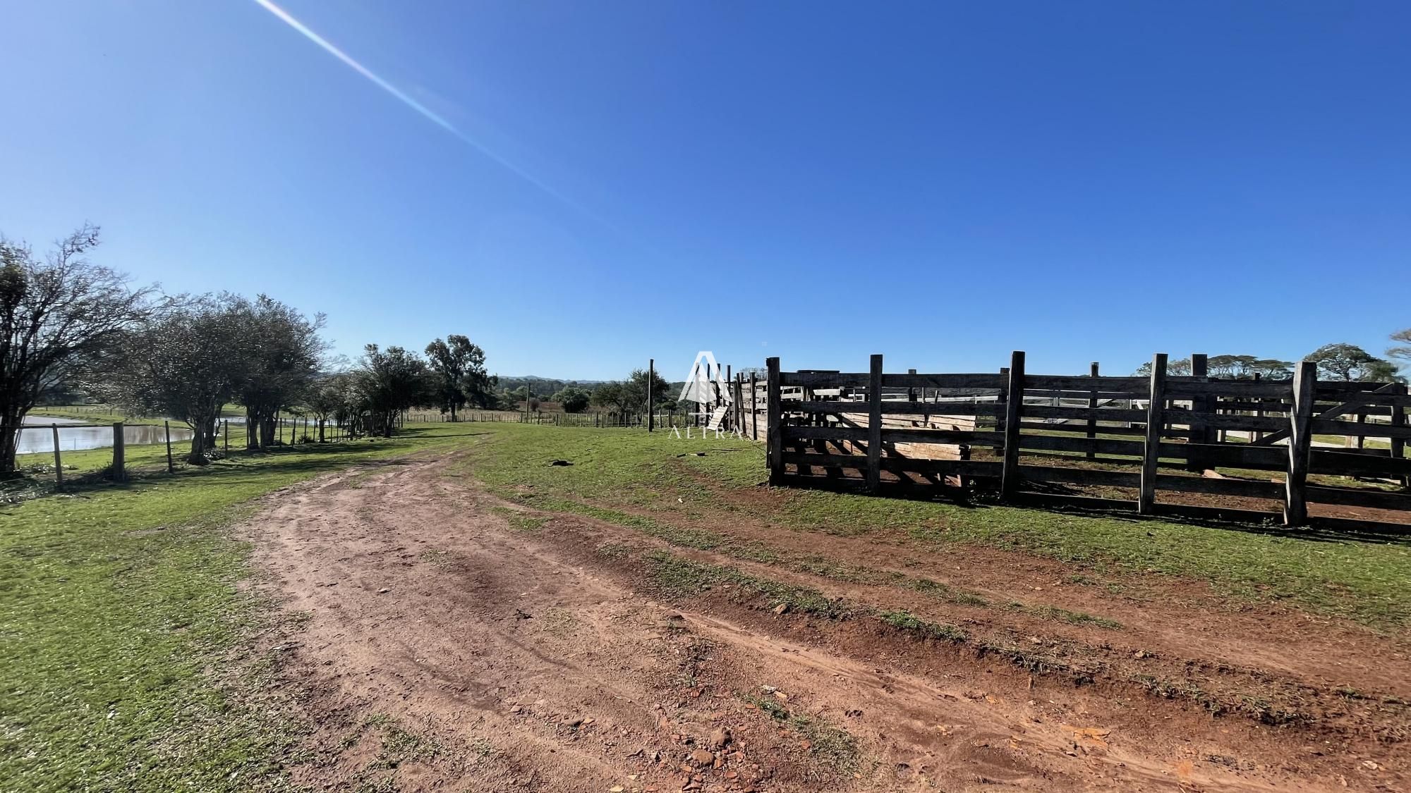 Fazenda à venda com 3 quartos, 229000m² - Foto 19