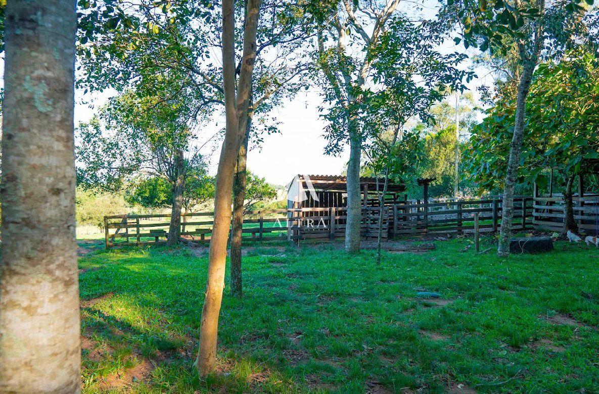 Fazenda à venda com 3 quartos, 50000m² - Foto 17