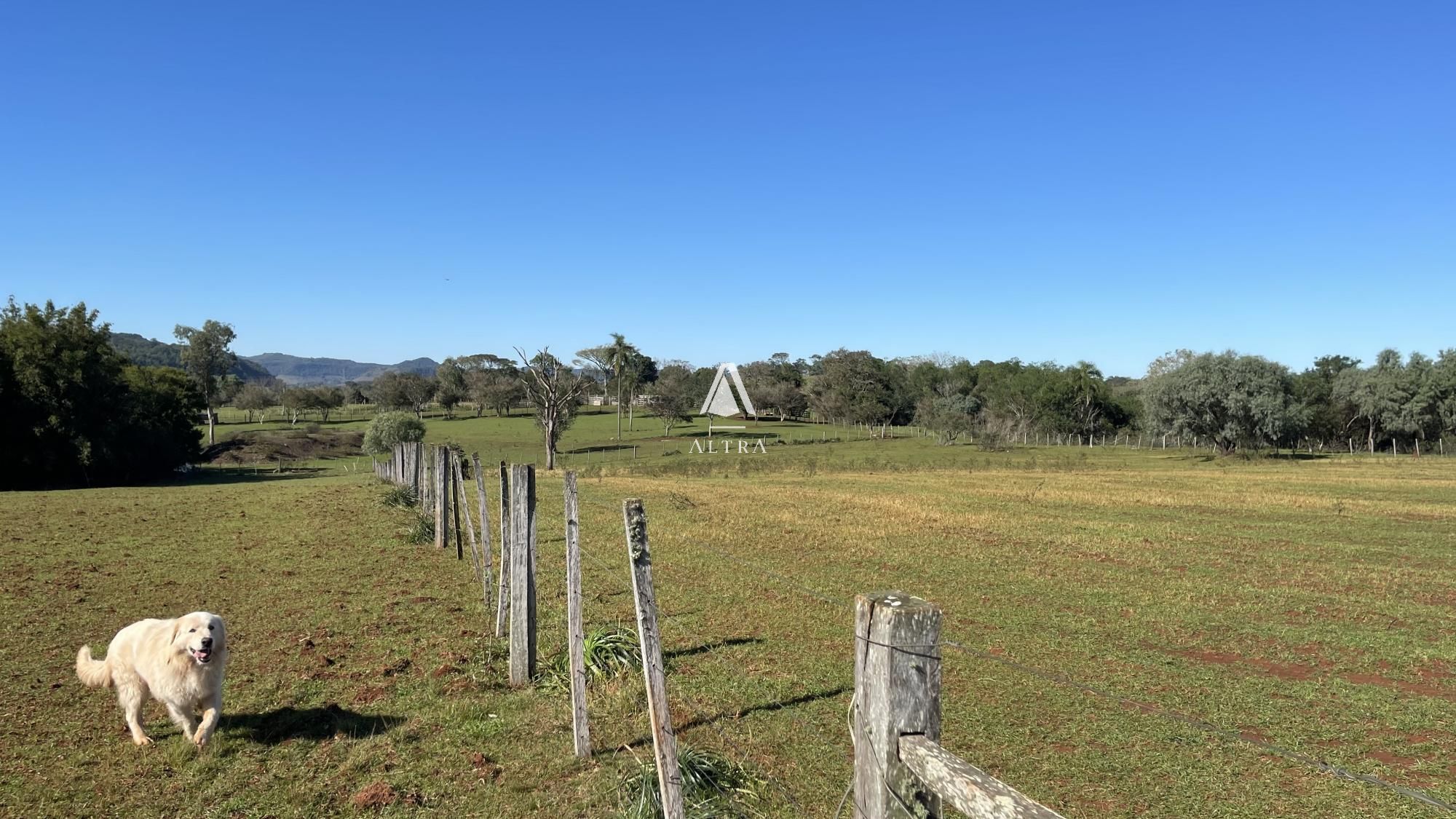 Fazenda à venda com 3 quartos, 229000m² - Foto 12