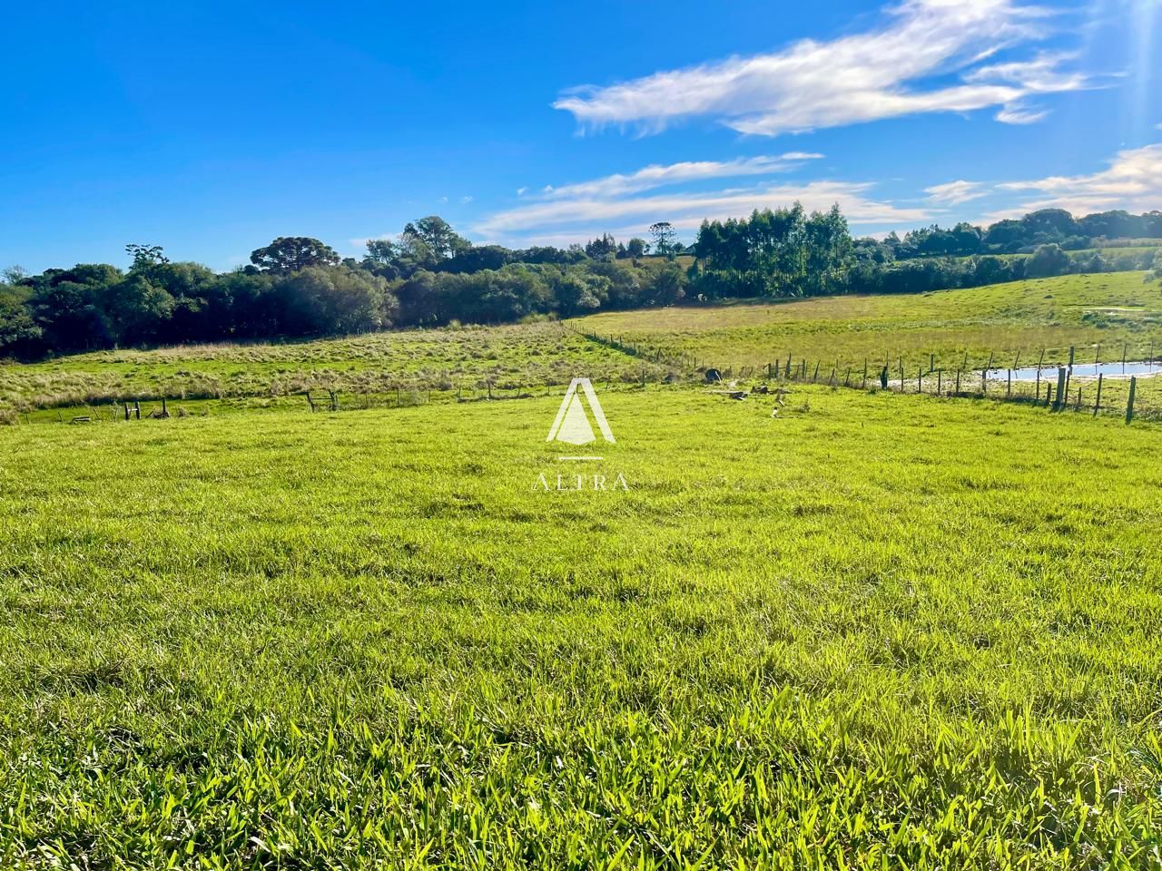 Fazenda à venda com 2 quartos, 450000000m² - Foto 3