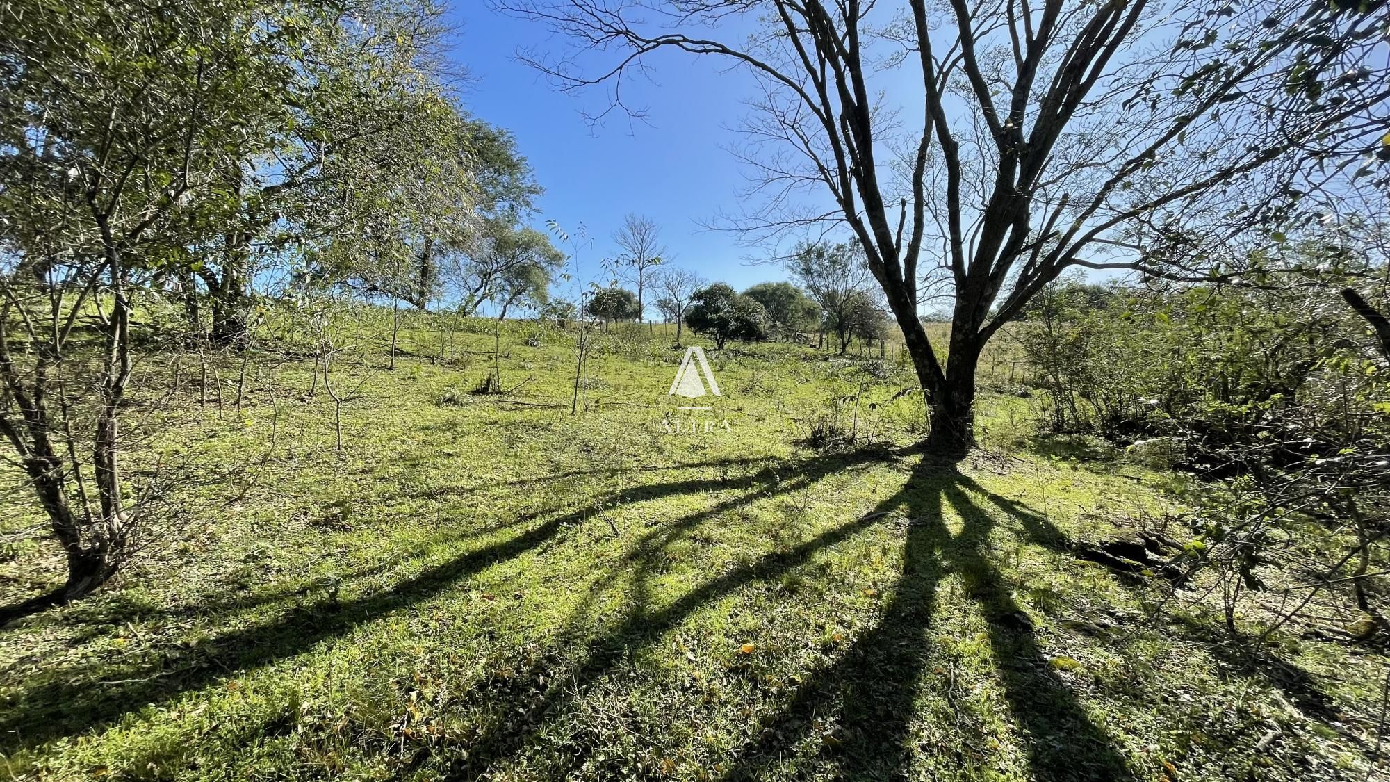 Fazenda à venda com 3 quartos, 229000m² - Foto 37