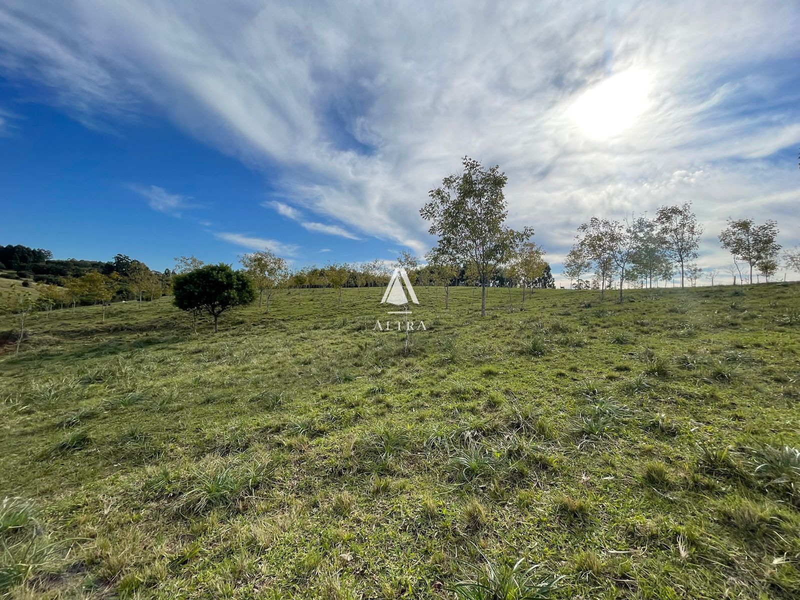 Sítio à venda com 3 quartos, 146232m² - Foto 13