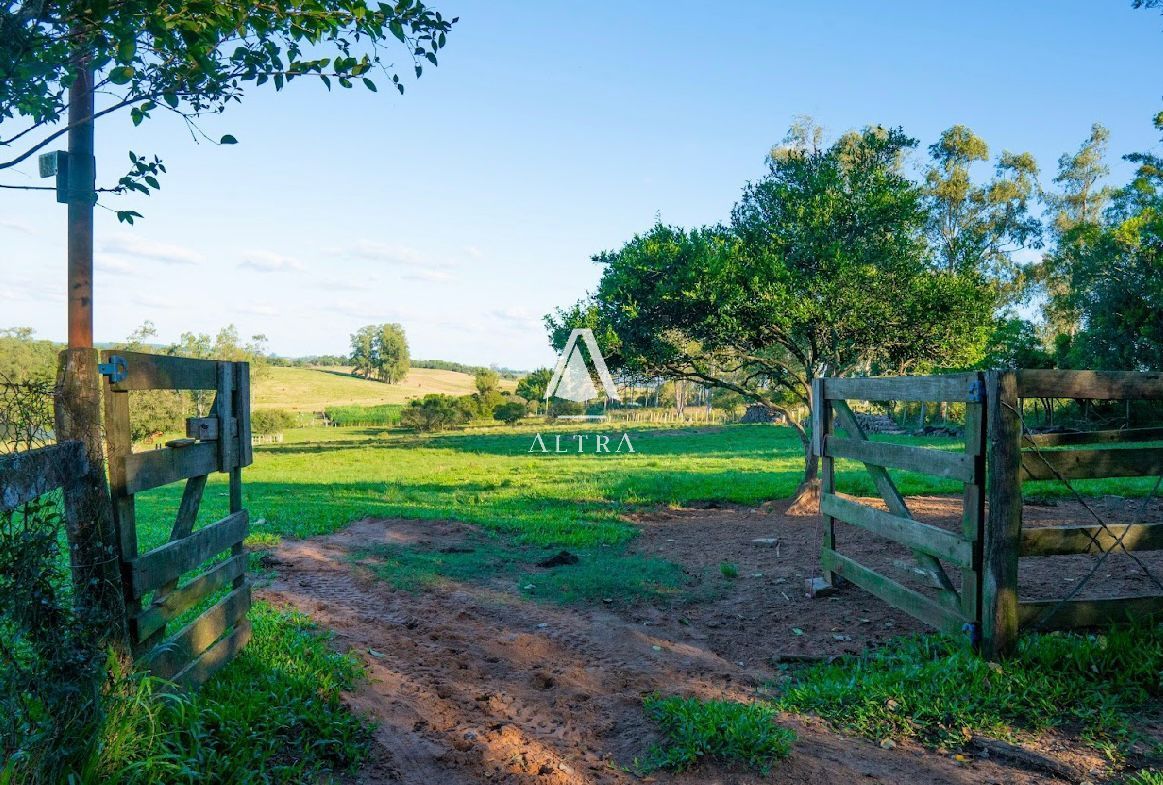 Fazenda à venda com 3 quartos, 50000m² - Foto 19