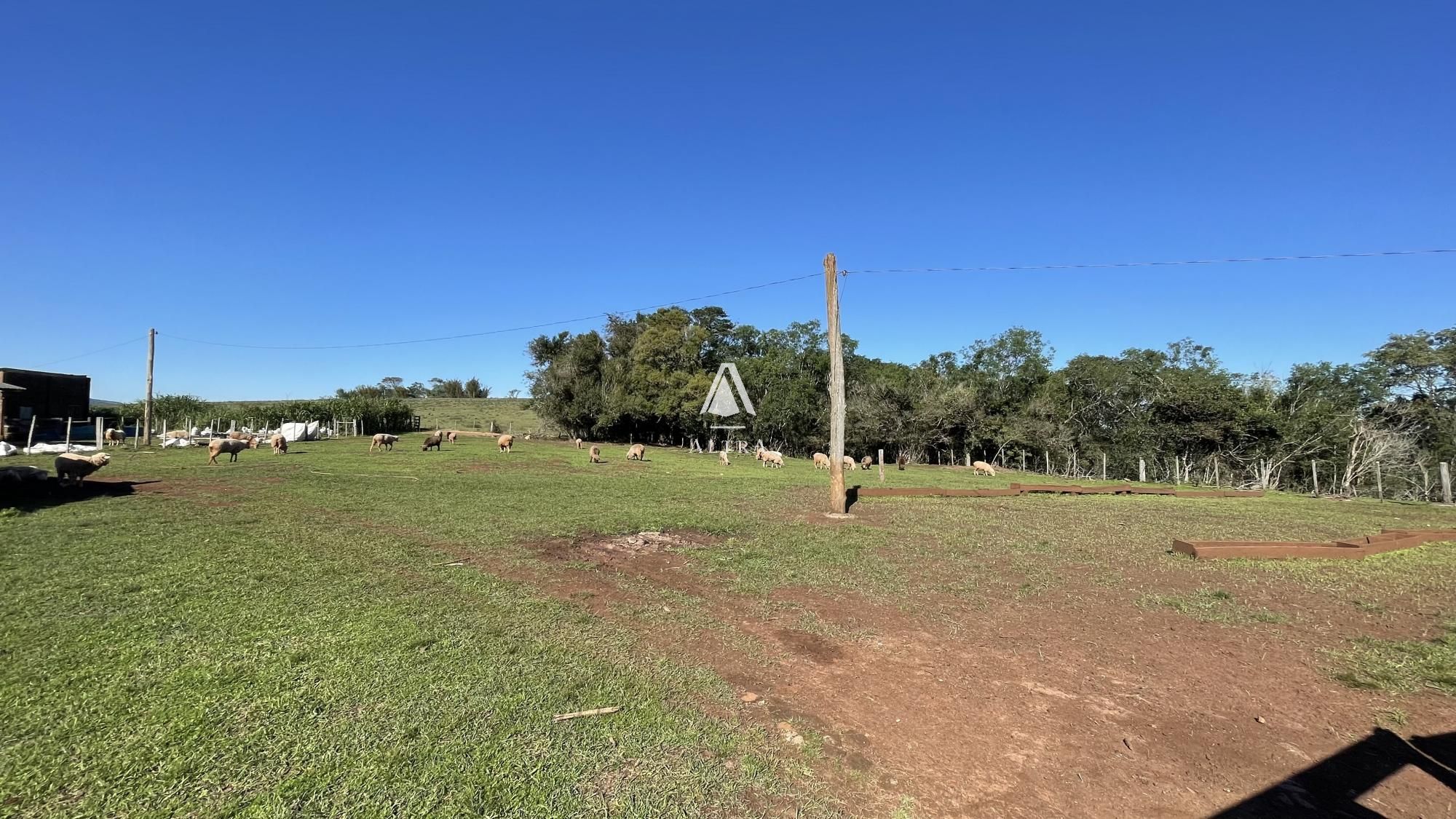 Fazenda à venda com 3 quartos, 229000m² - Foto 22