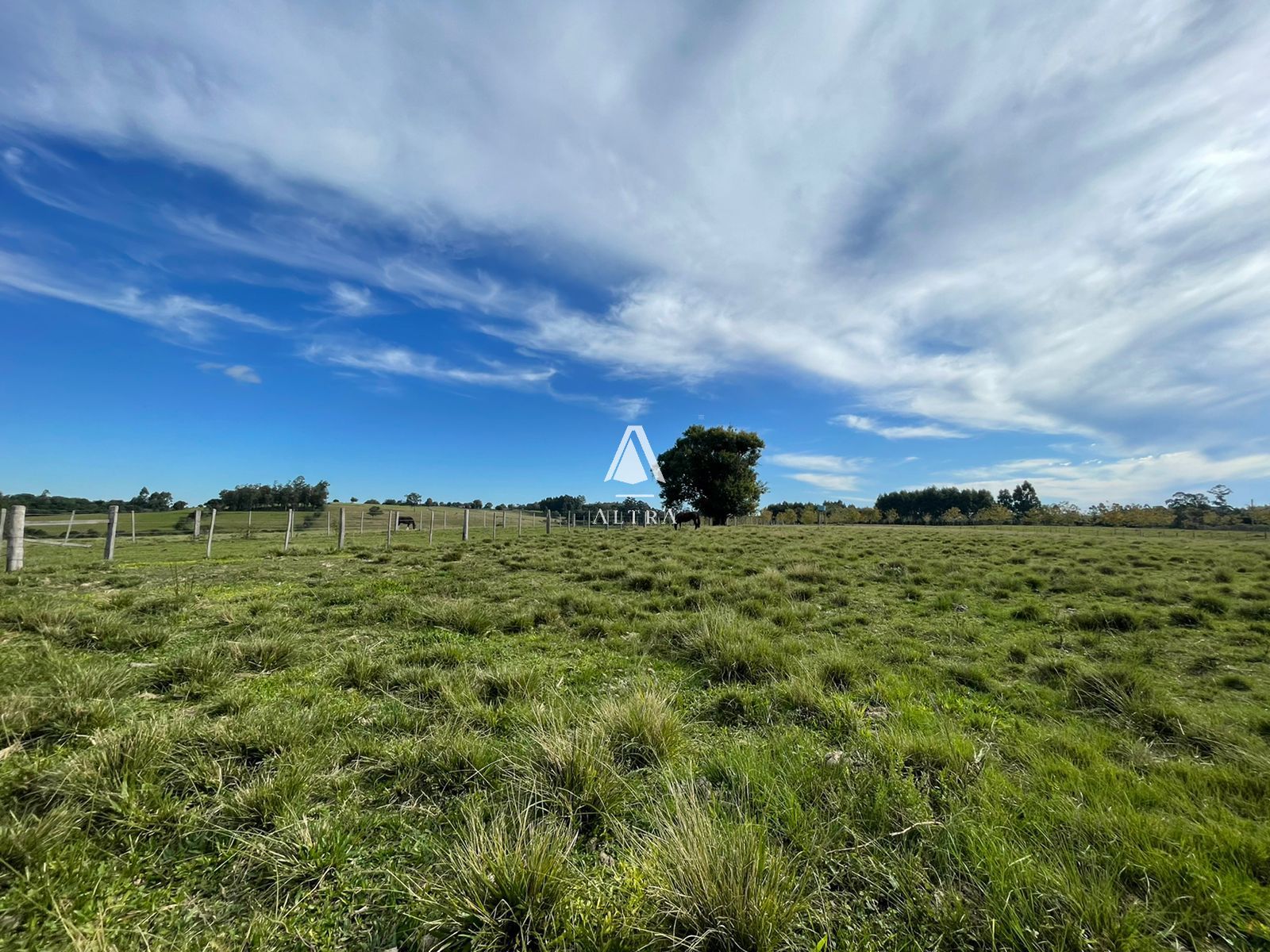 Fazenda à venda com 3 quartos, 146232m² - Foto 11