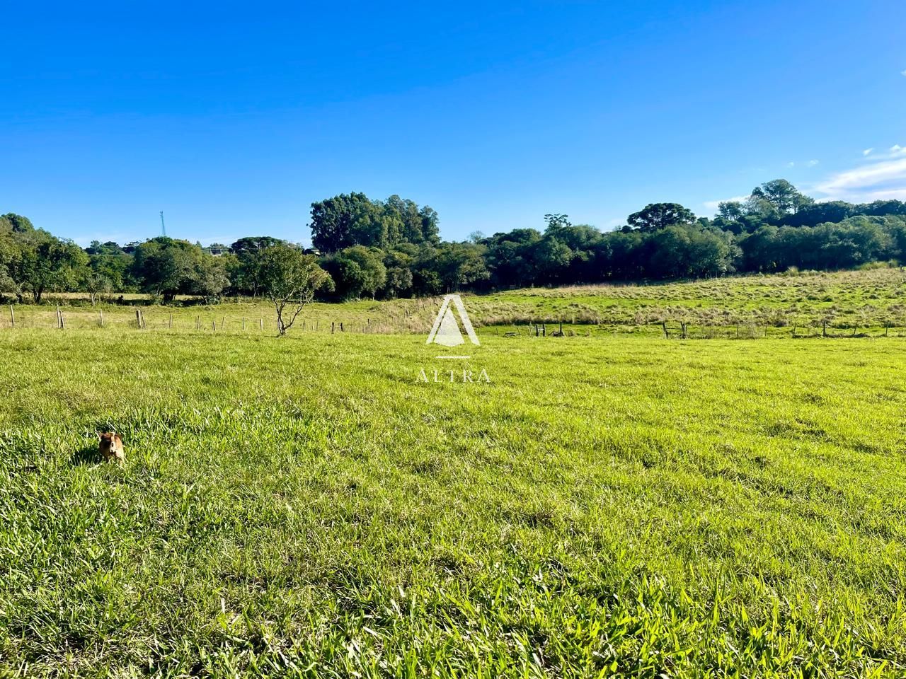 Fazenda à venda com 2 quartos, 450000000m² - Foto 2