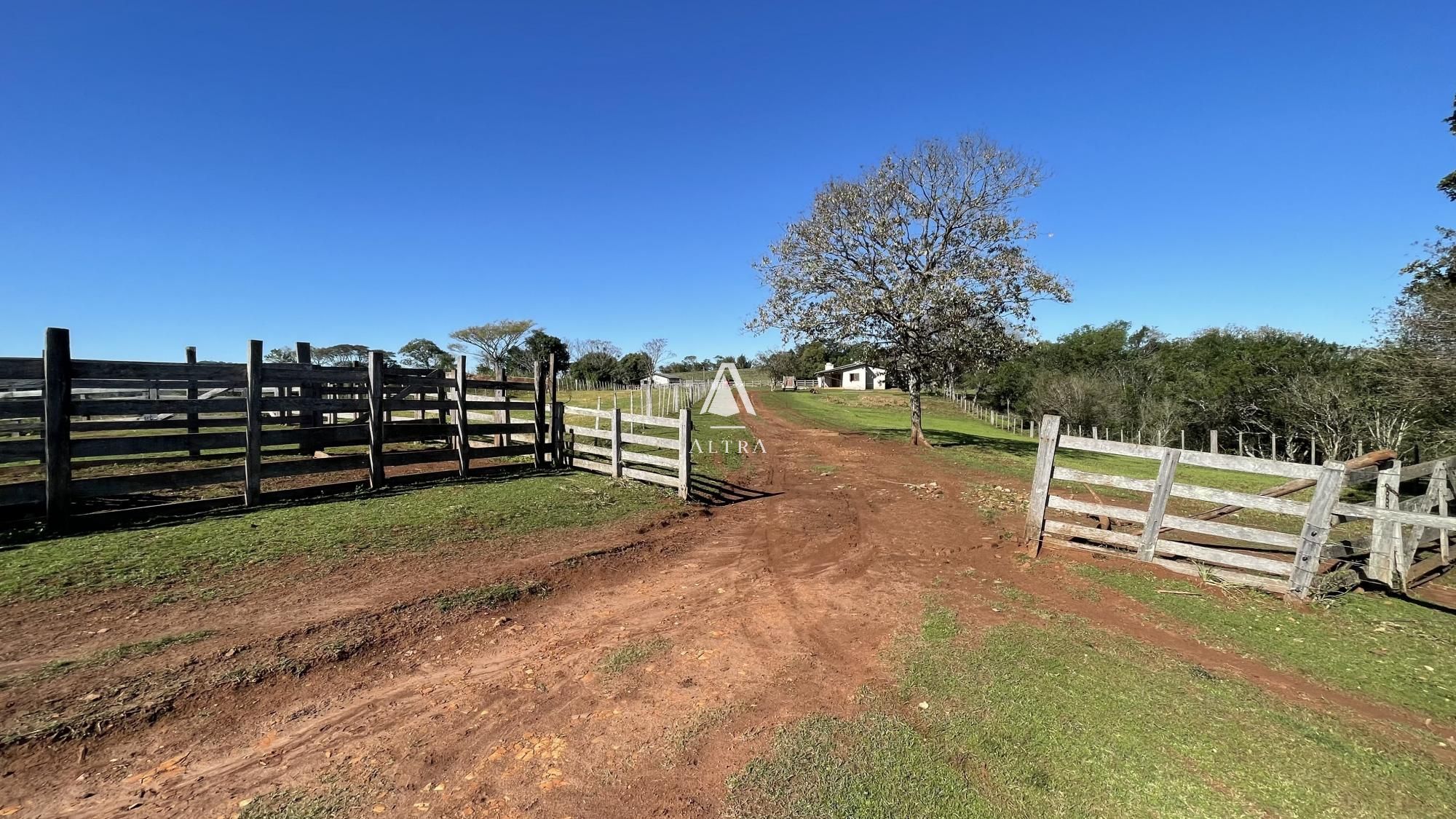 Fazenda à venda com 3 quartos, 229000m² - Foto 18