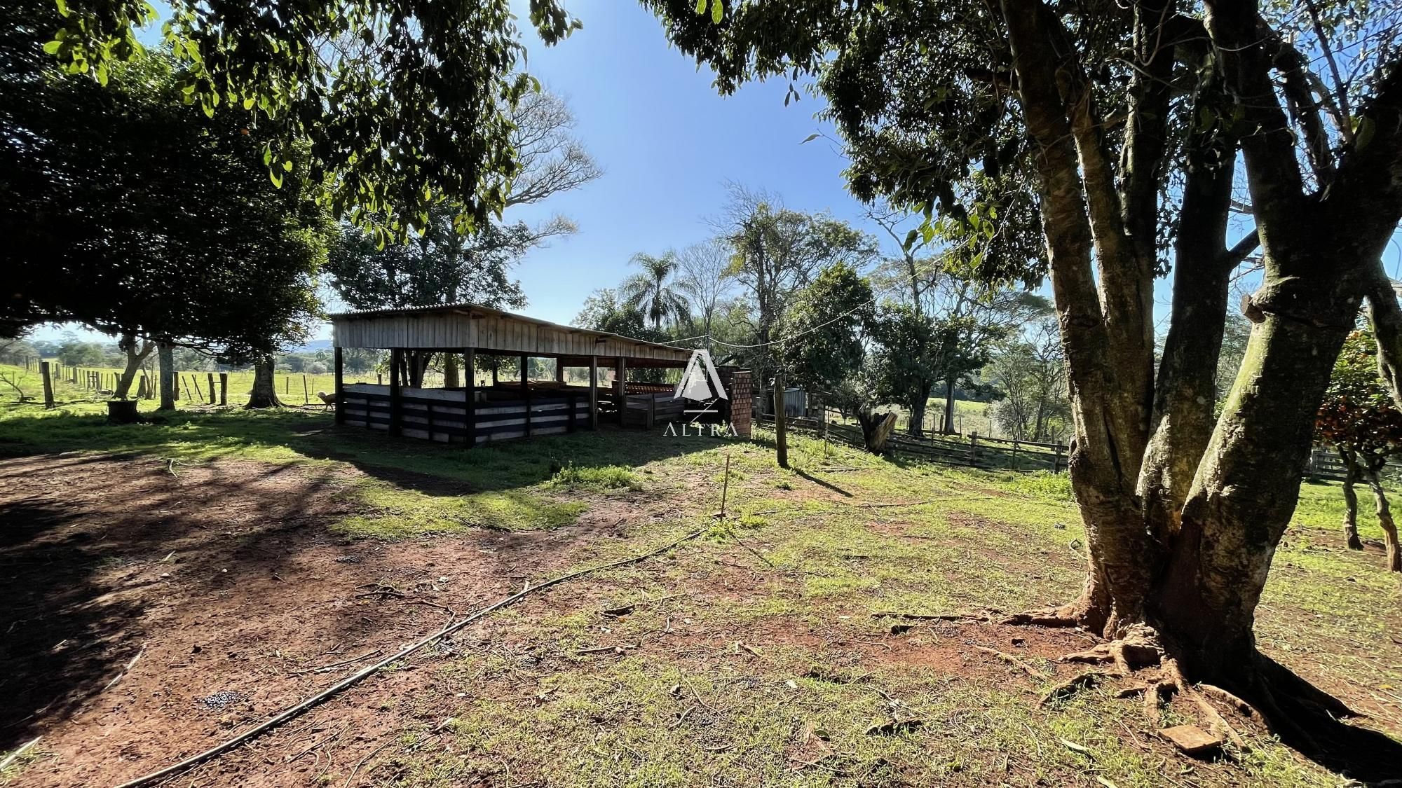 Fazenda à venda com 3 quartos, 229000m² - Foto 28