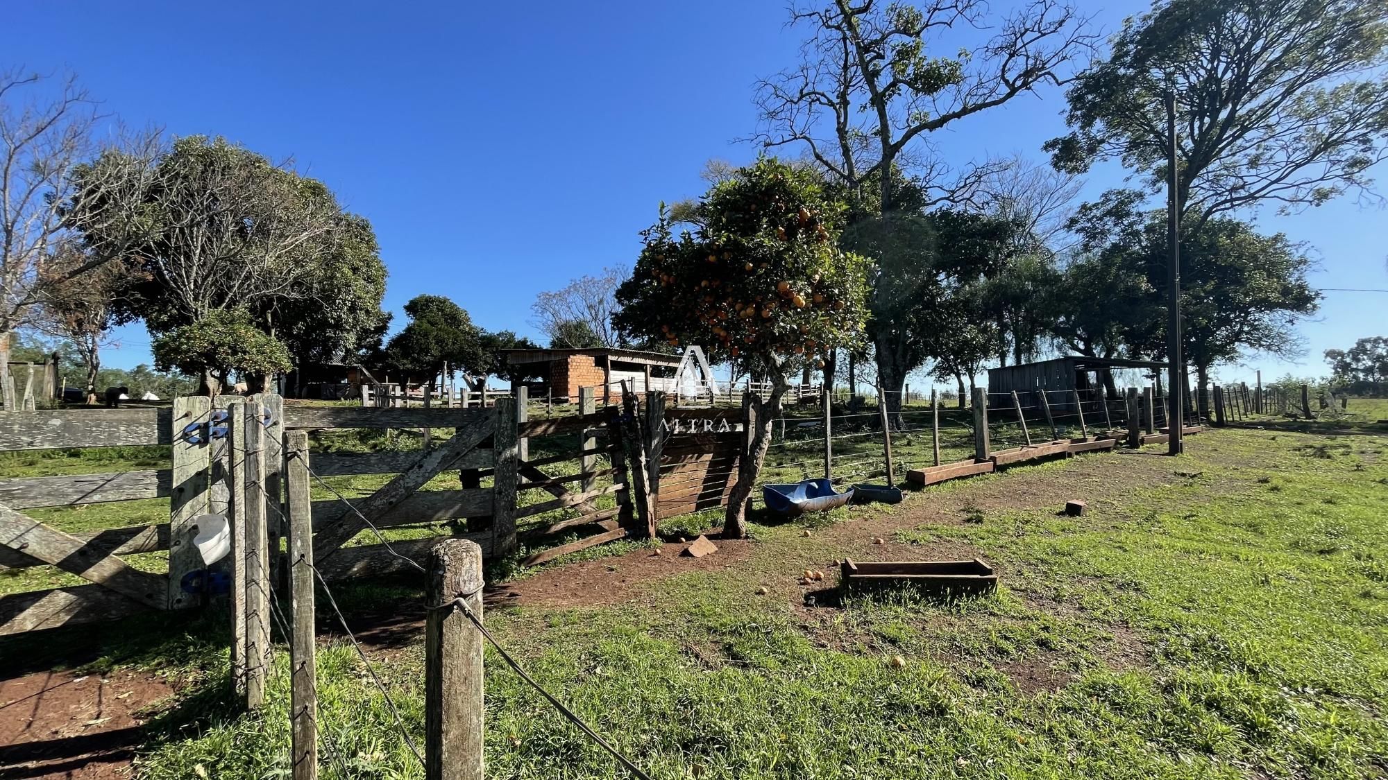 Fazenda à venda com 3 quartos, 229000m² - Foto 35