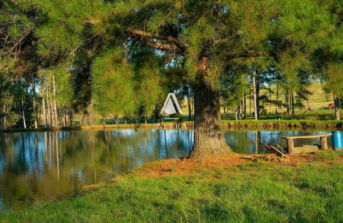 Fazenda à venda com 3 quartos, 50000m² - Foto 7